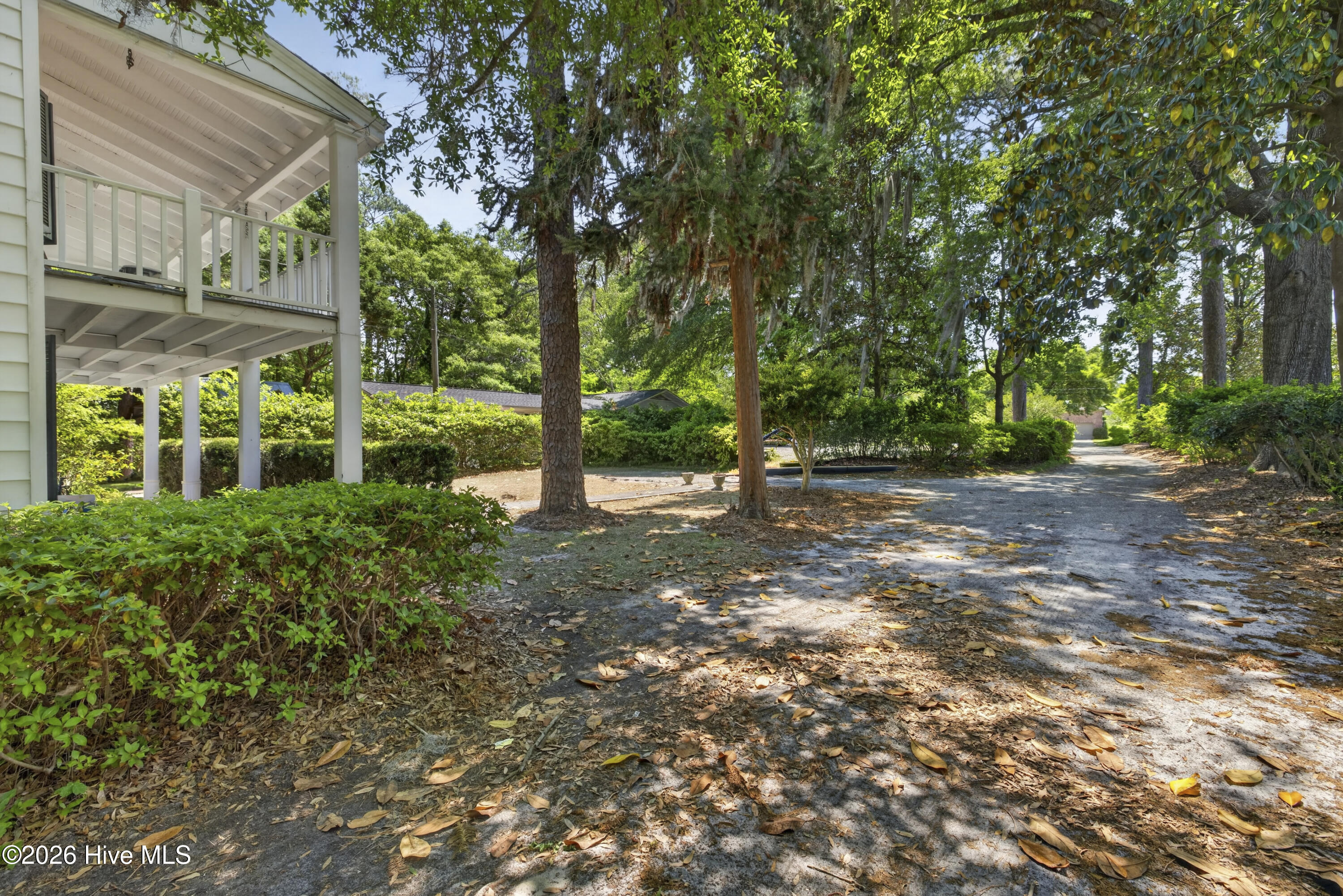 100569316 | Photo 10