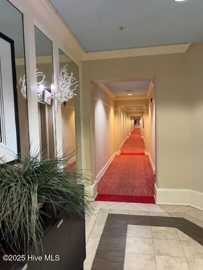 100543457 | Photo 11