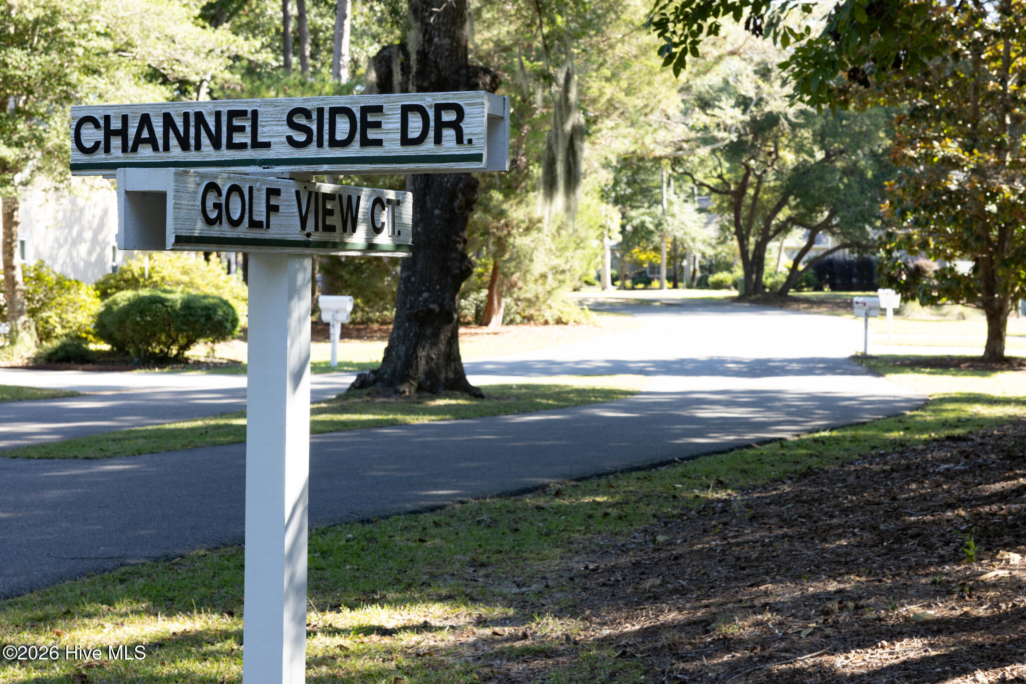 100547125 | Photo 39