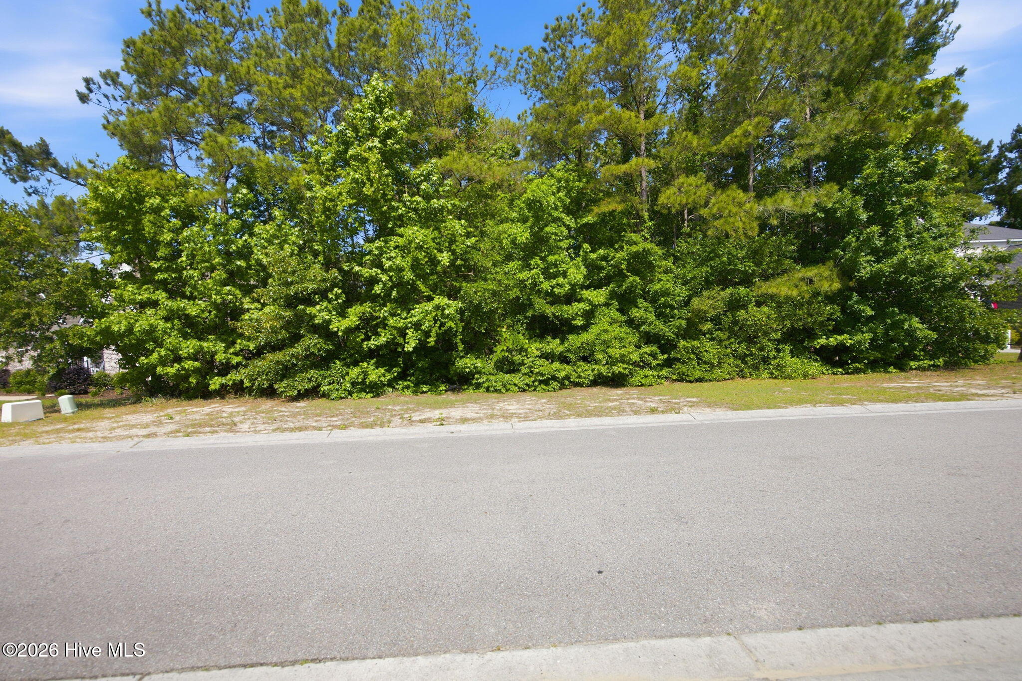 100574206 | Photo 12