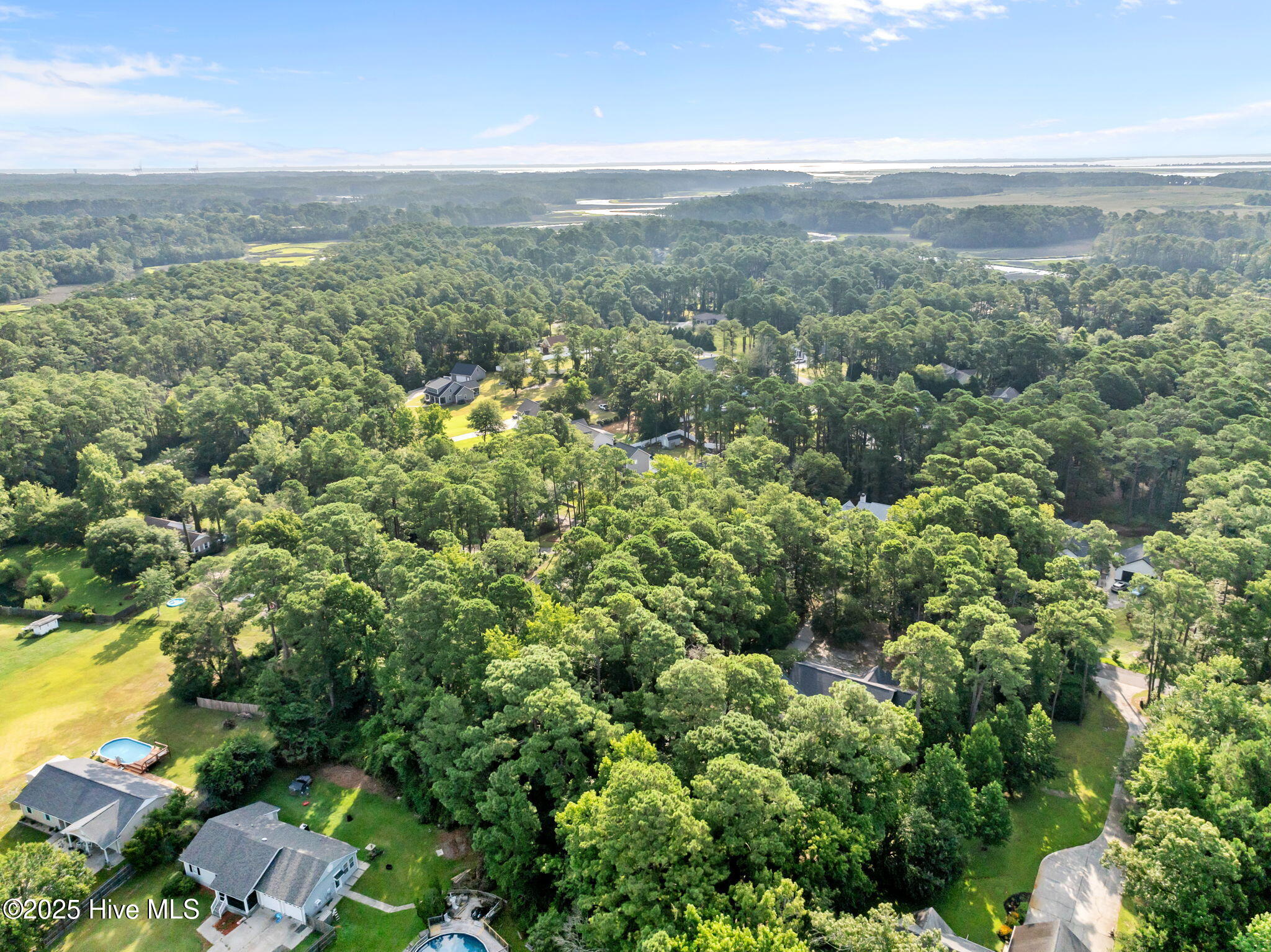 100520781 | Photo 16