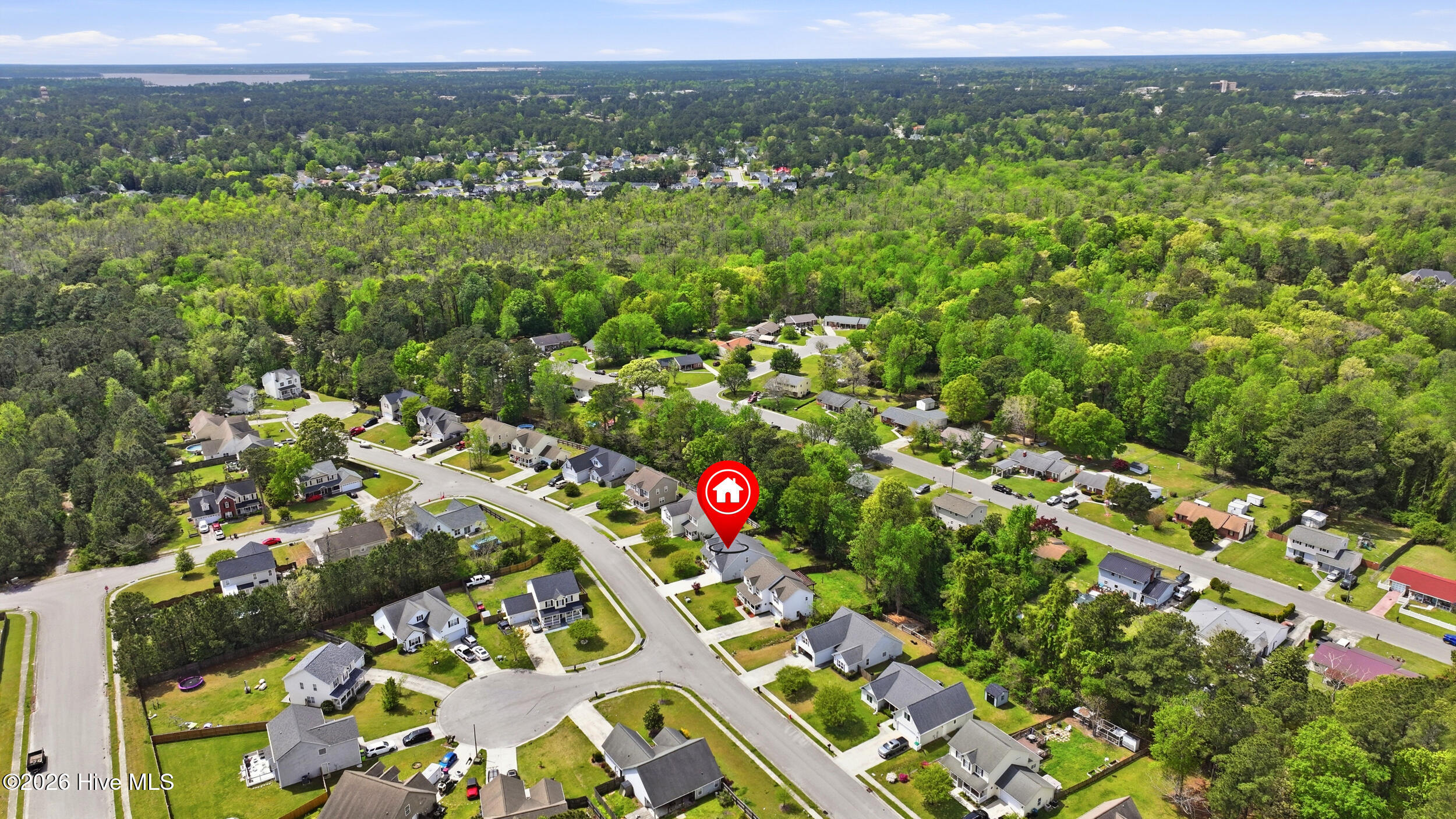 100566143 | Photo 51