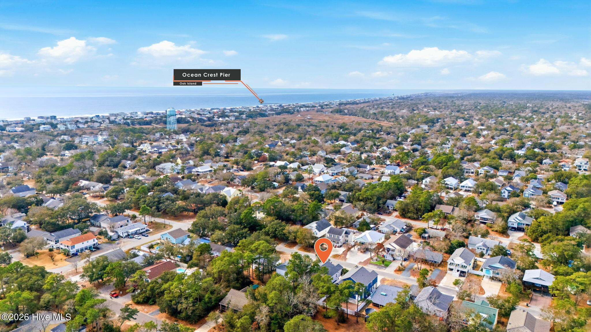 100554036 | Photo 12