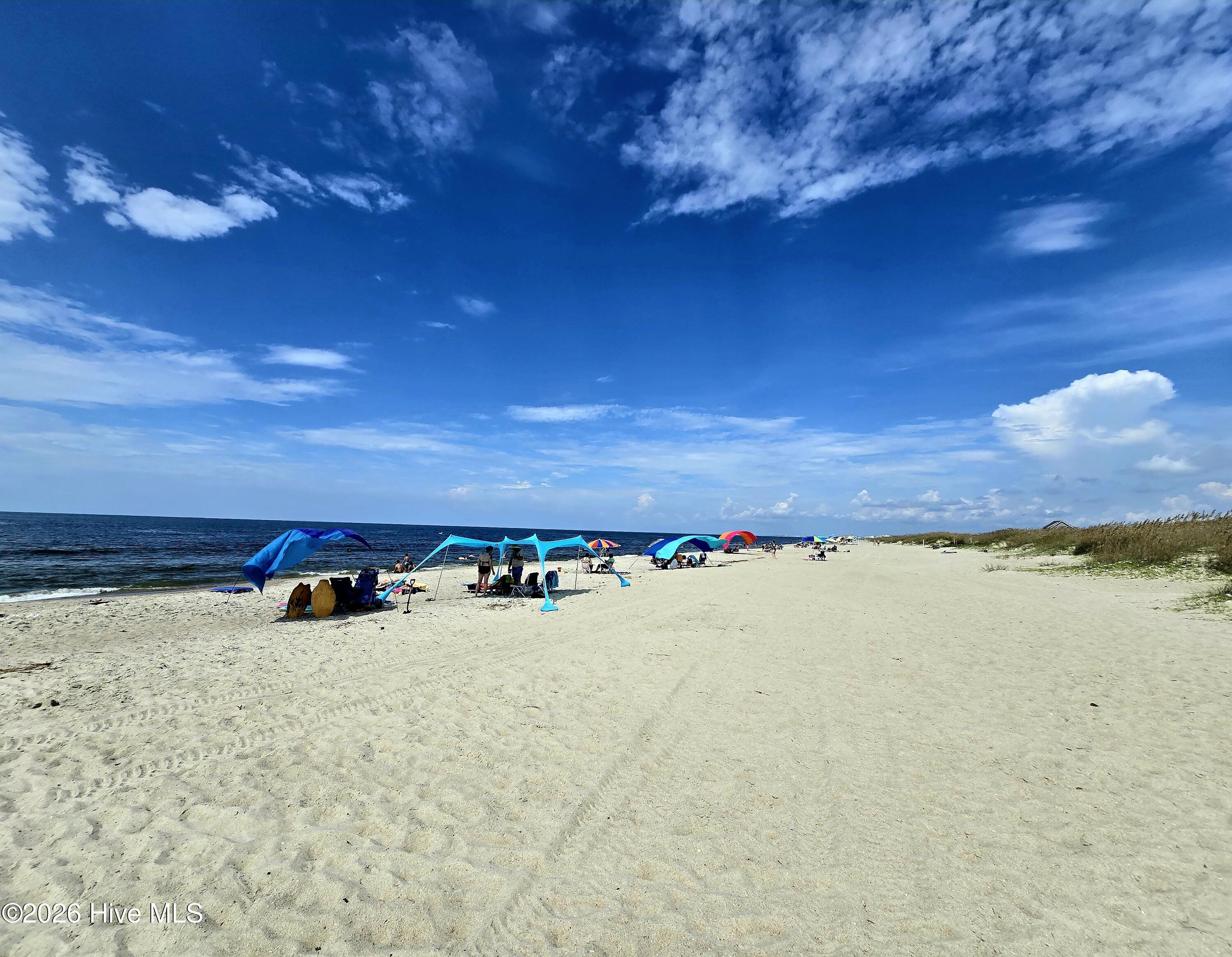 100556891 | Photo 24