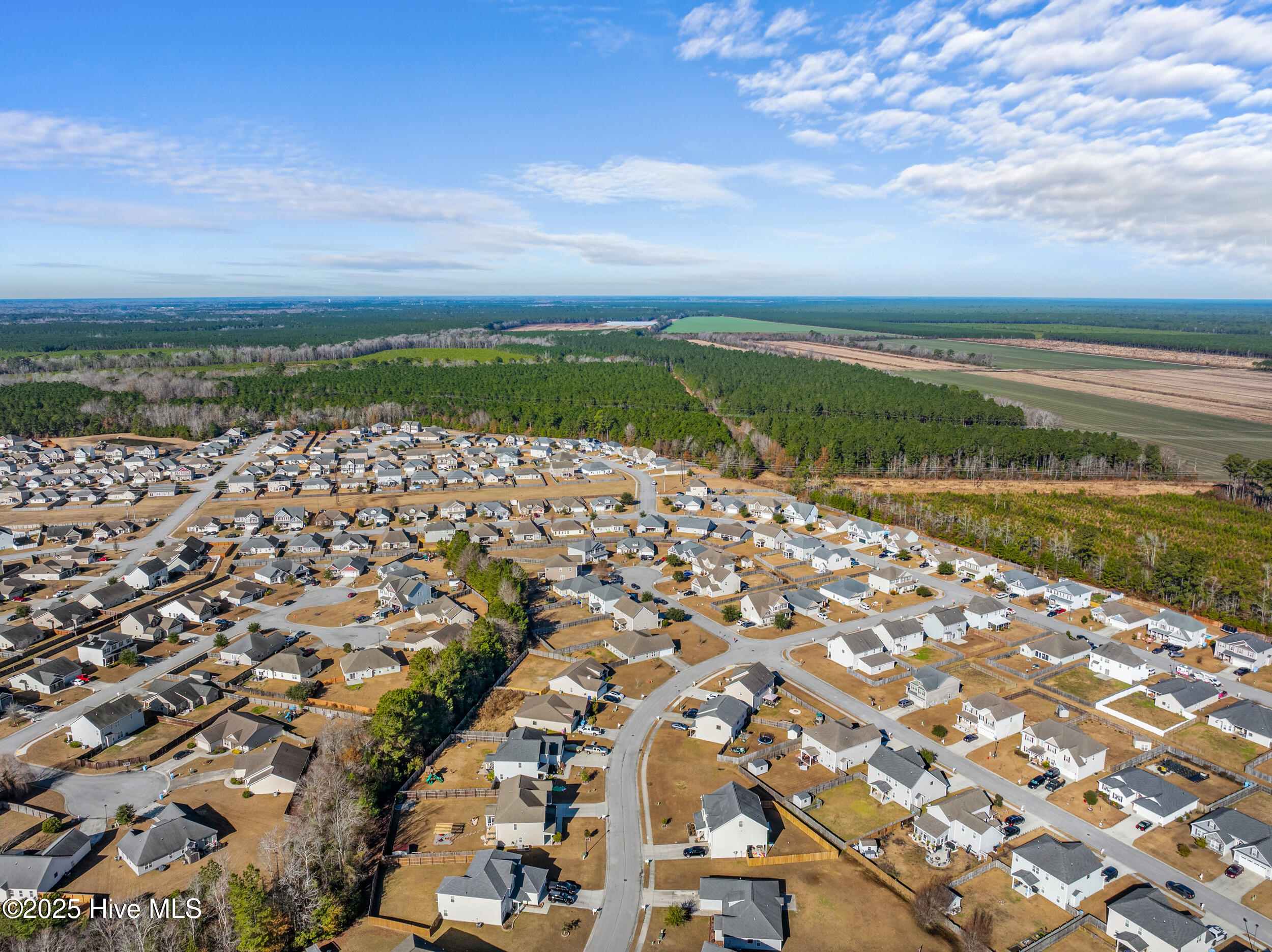 100546969 | Photo 49