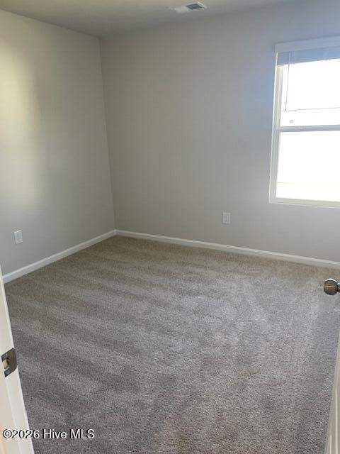 100560602 | Photo 15