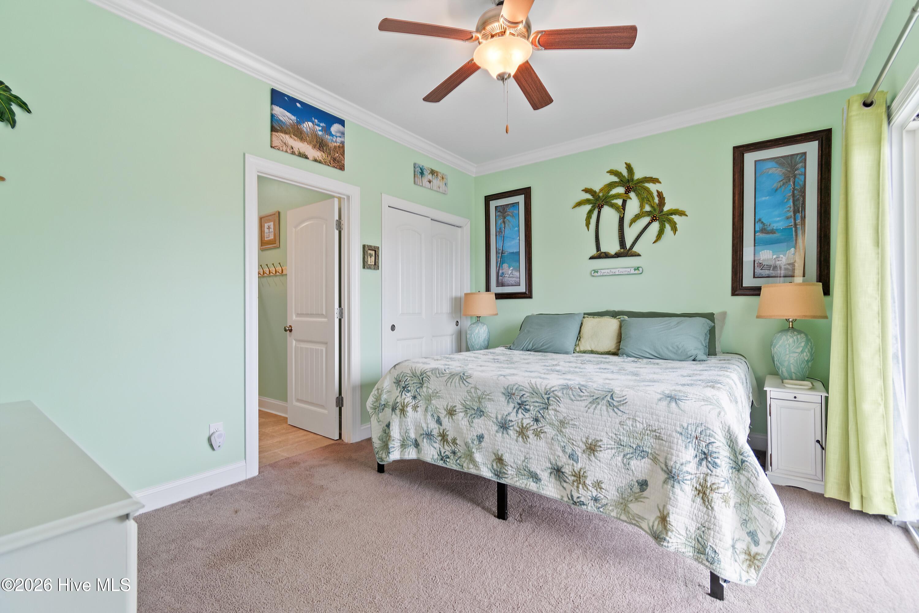 100555702 | Photo 31