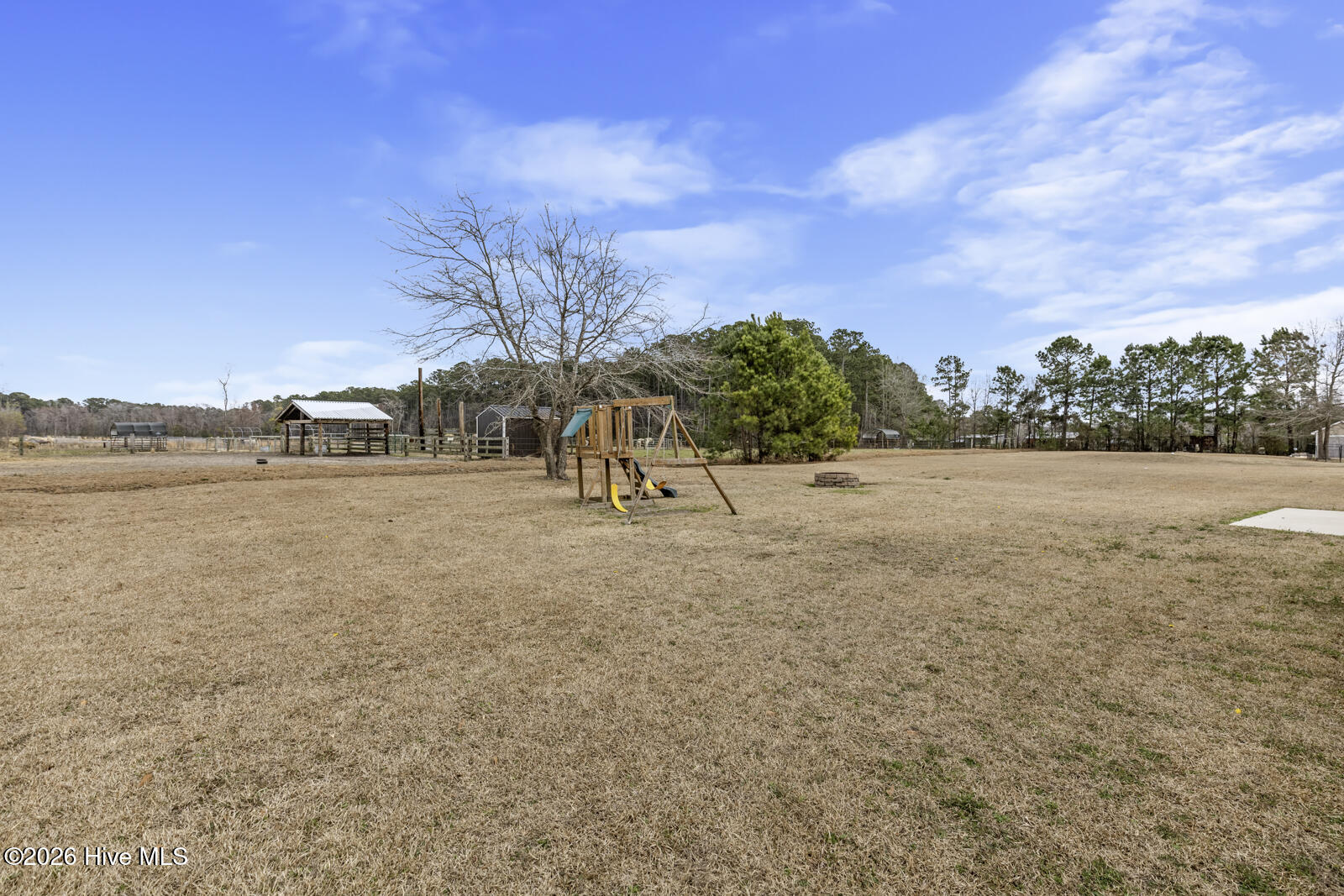 100558057 | Photo 24