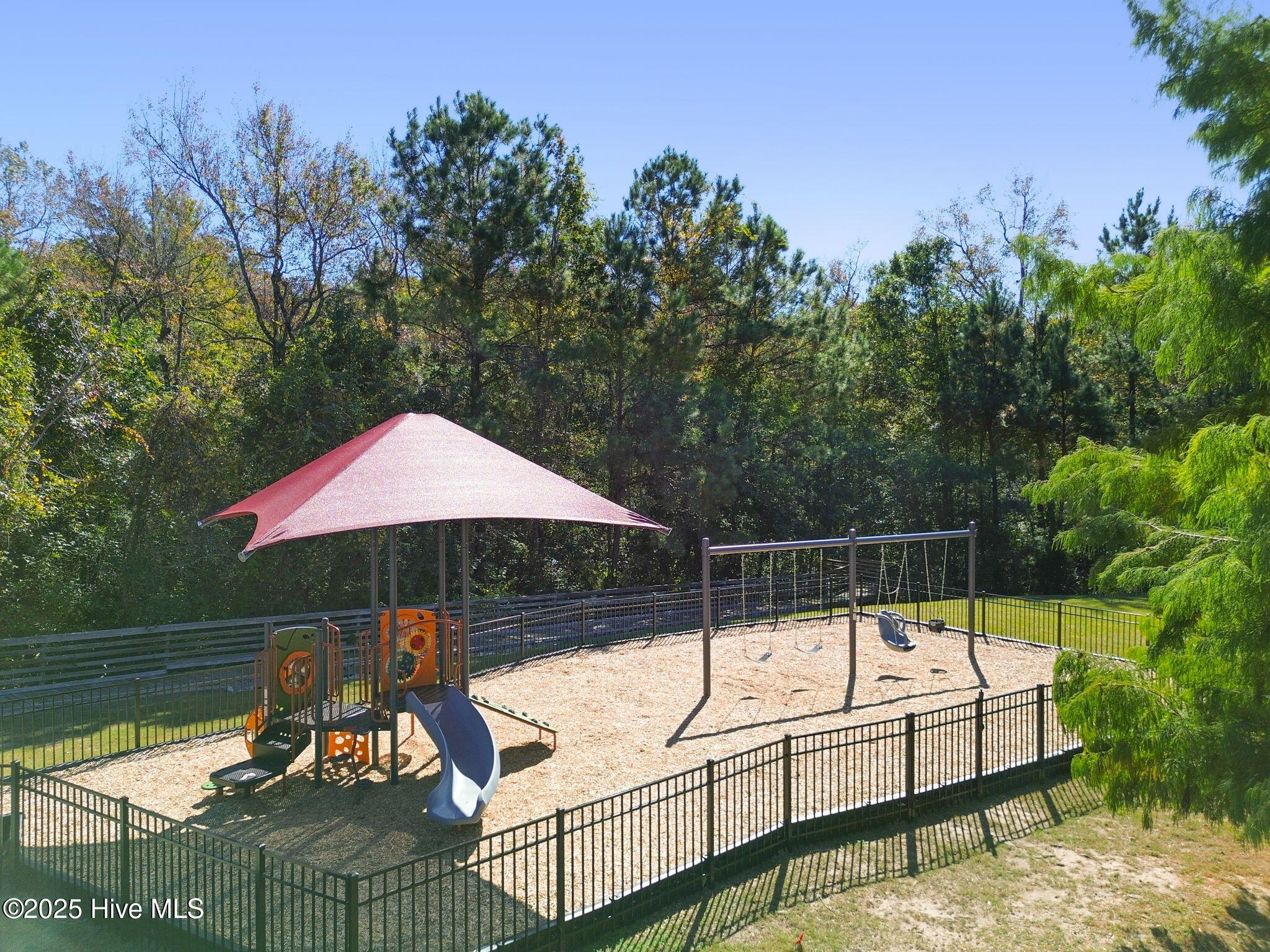 100538167 | Photo 51