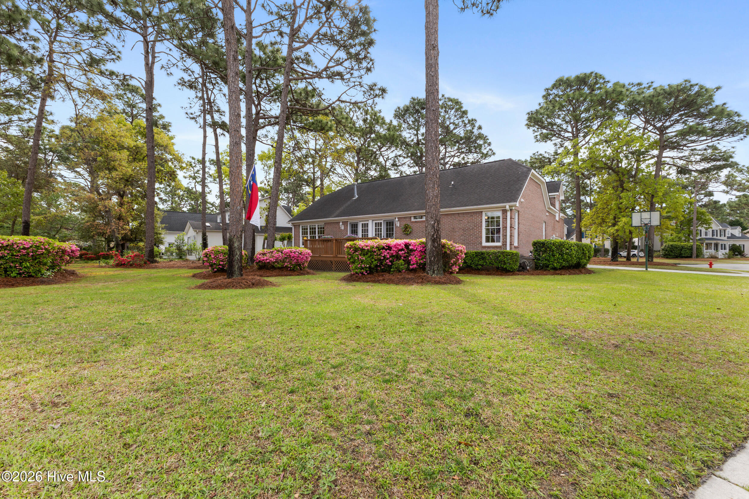 100566645 | Photo 30