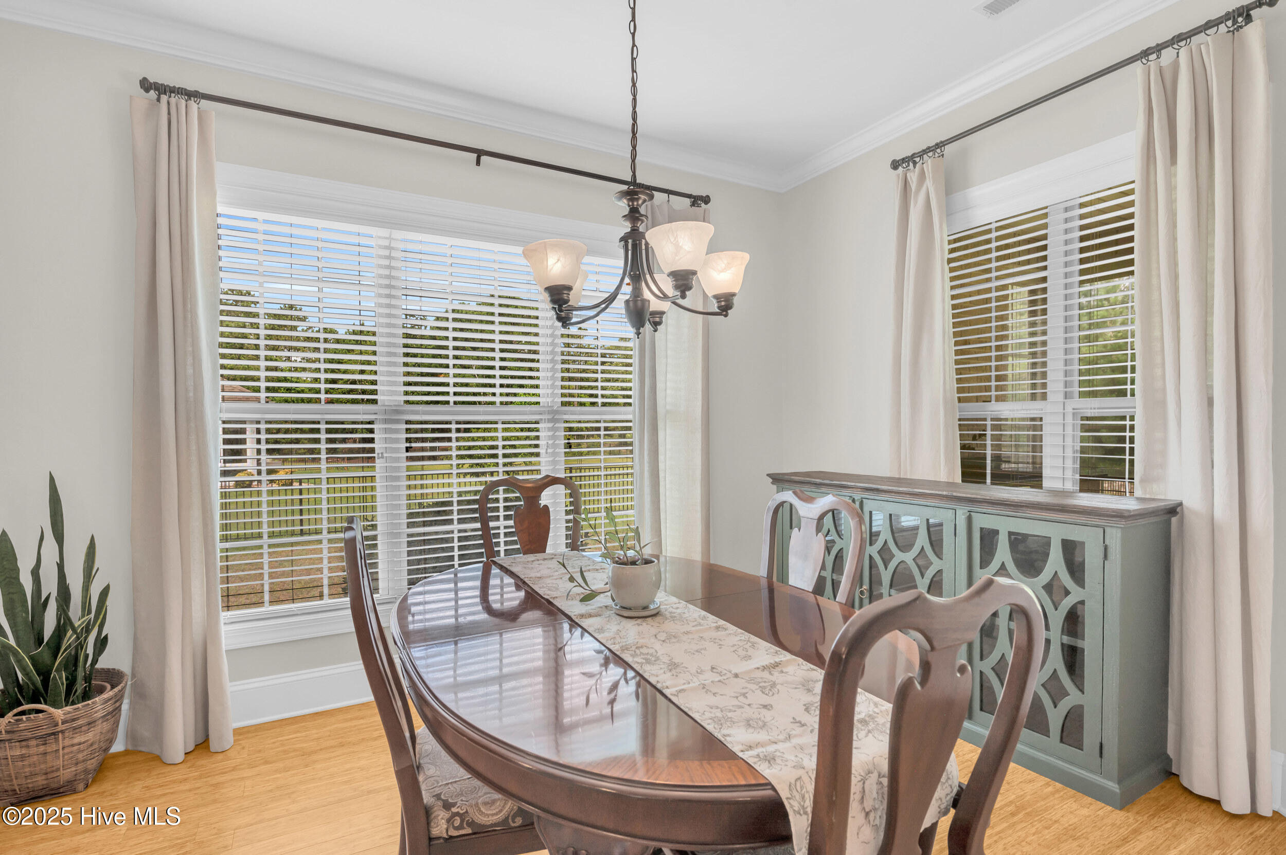 100517542 | Photo 17