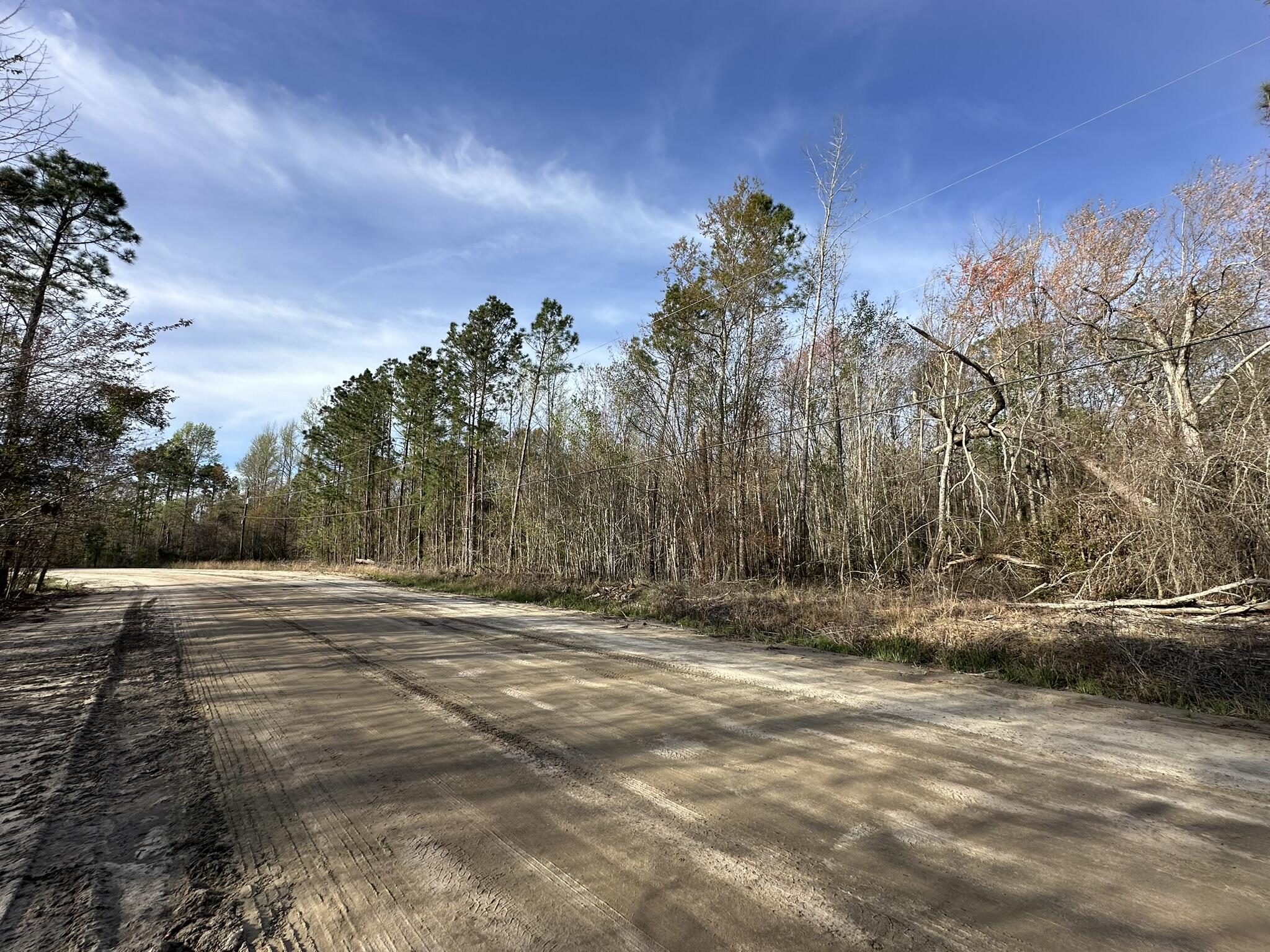 Homes for sale in Swainsboro, GA | Lot 12 Robin Blvd, Swainsboro, GA 30401 | MLS# 98256795
