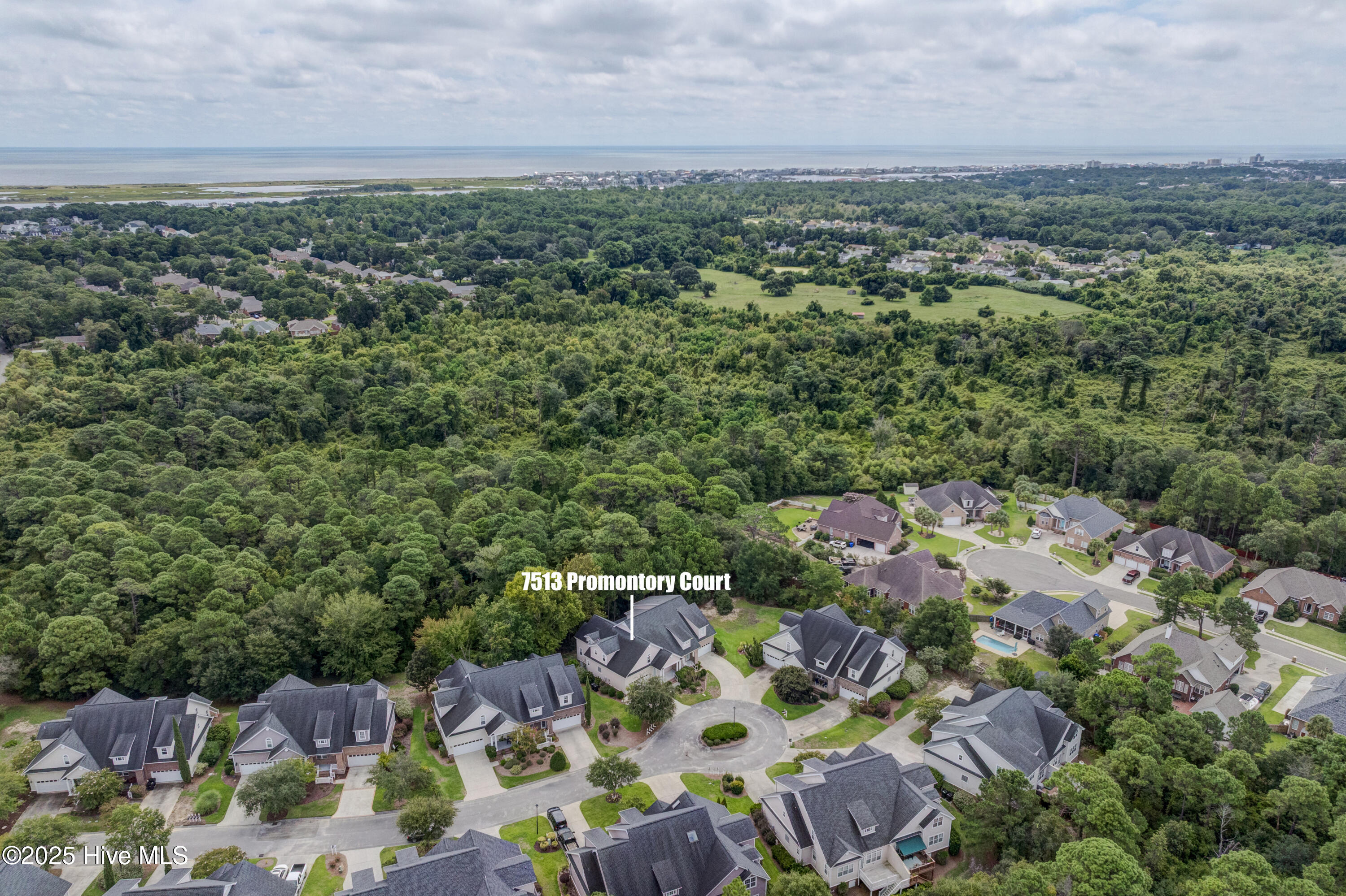 100526585 | Photo 10