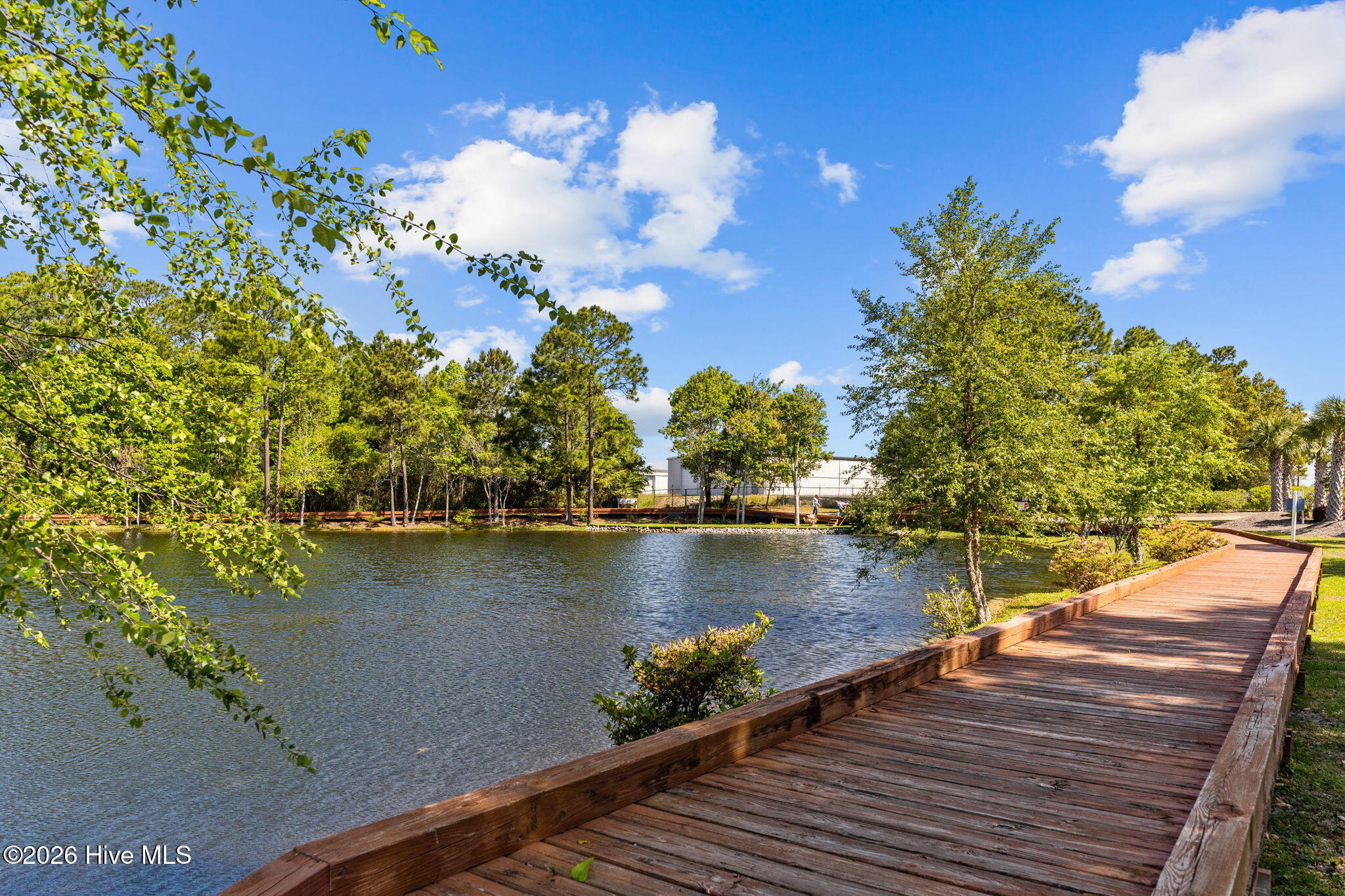 100558895 | Photo 76