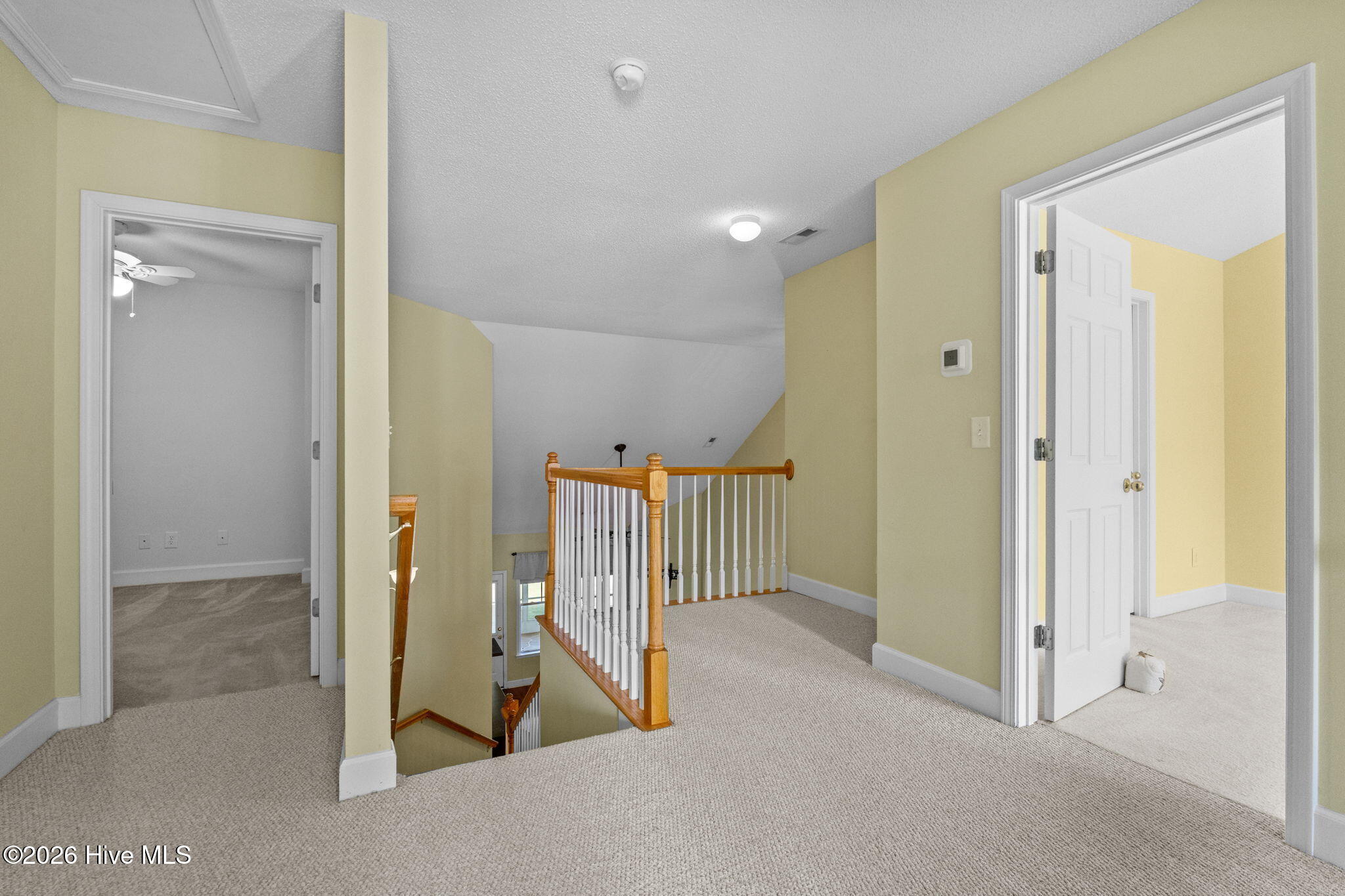 100570340 | Photo 32