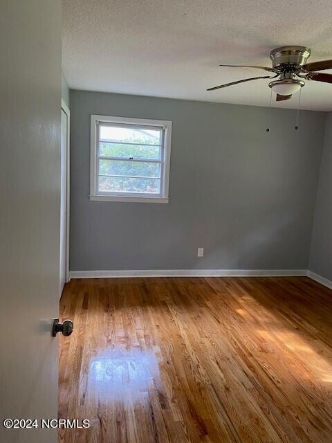 100533796 | Photo 31