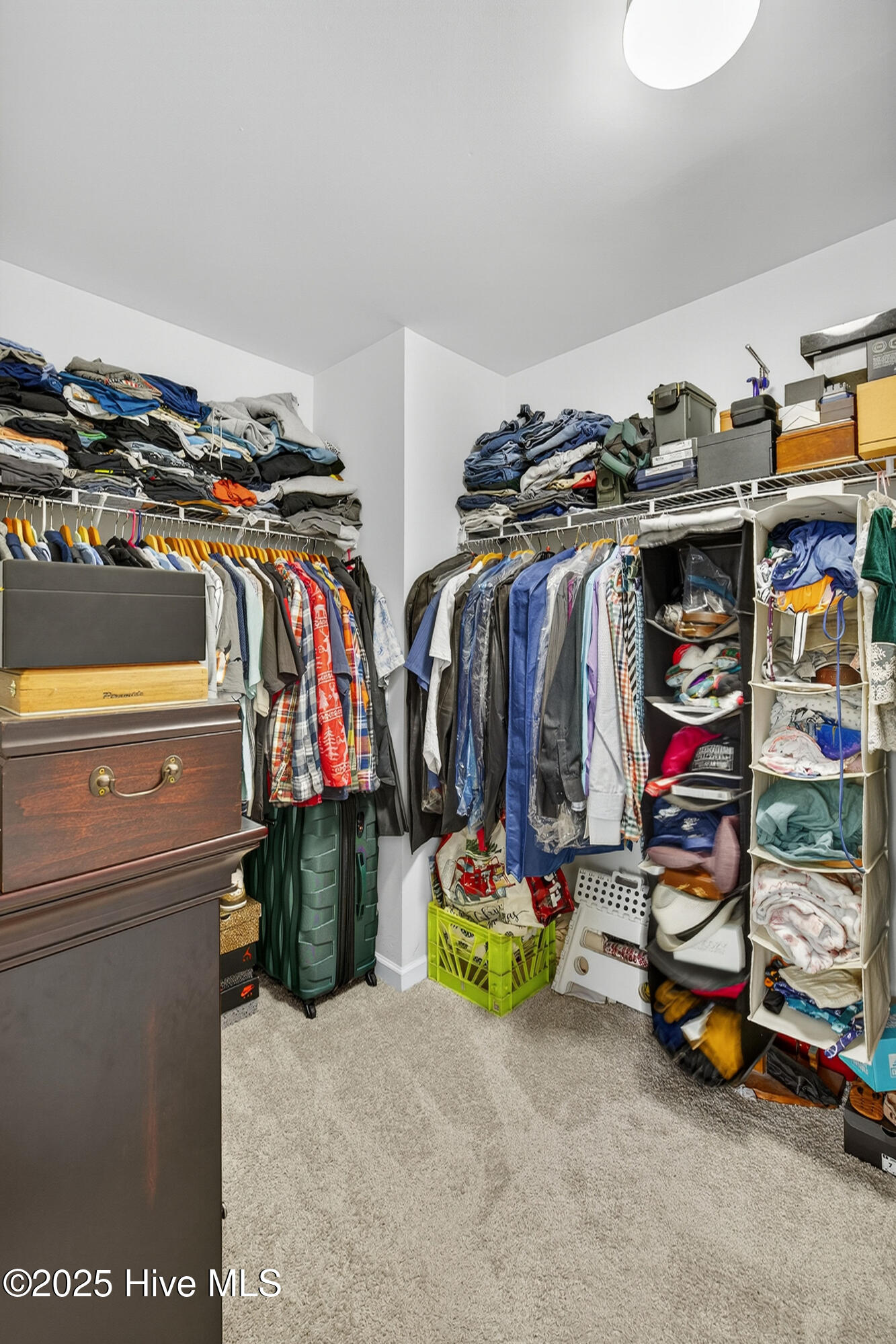 100535181 | Photo 40