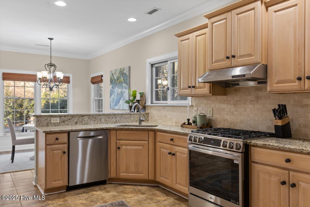 100516339 | Photo 23