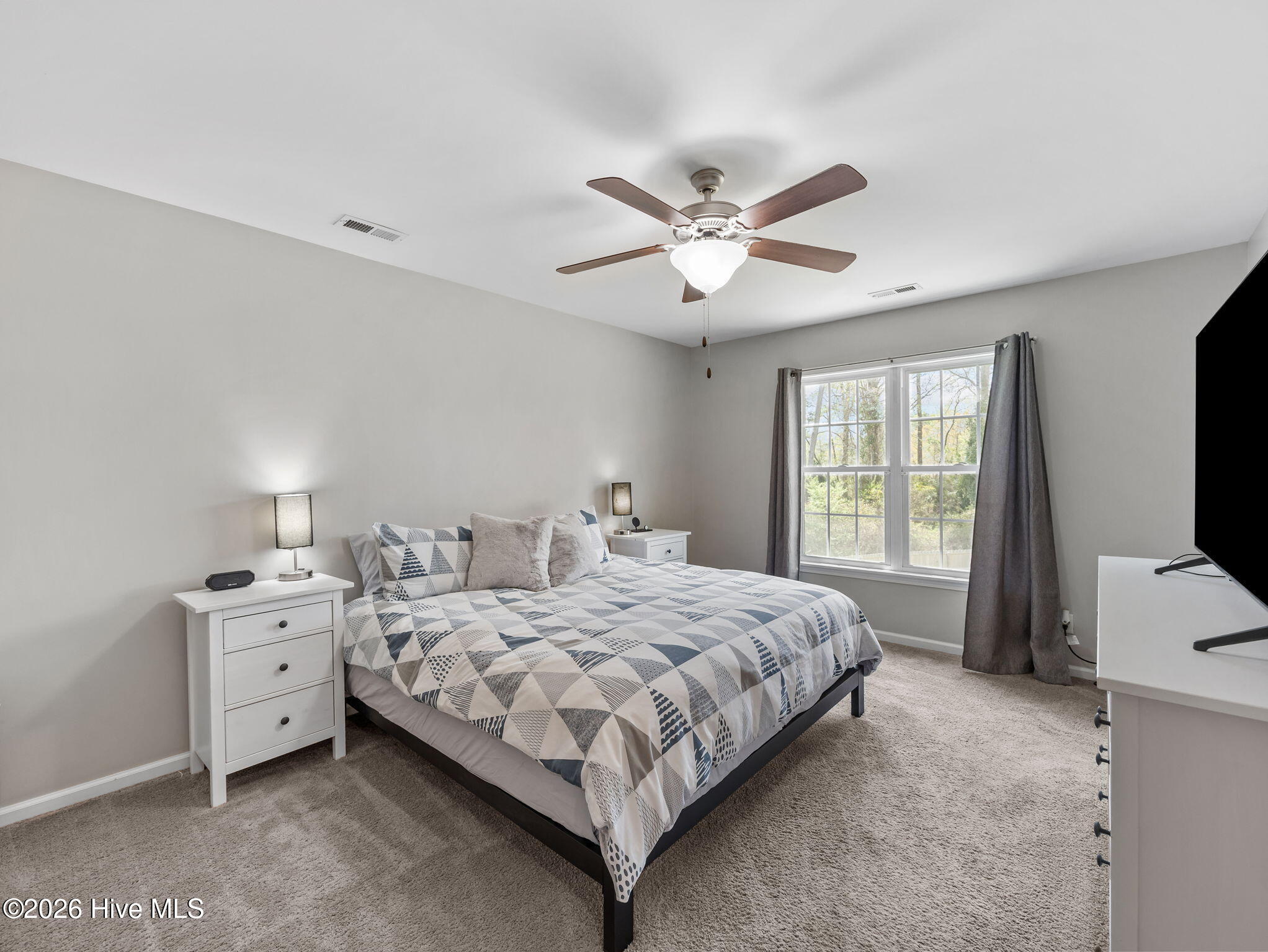 100564221 | Photo 21