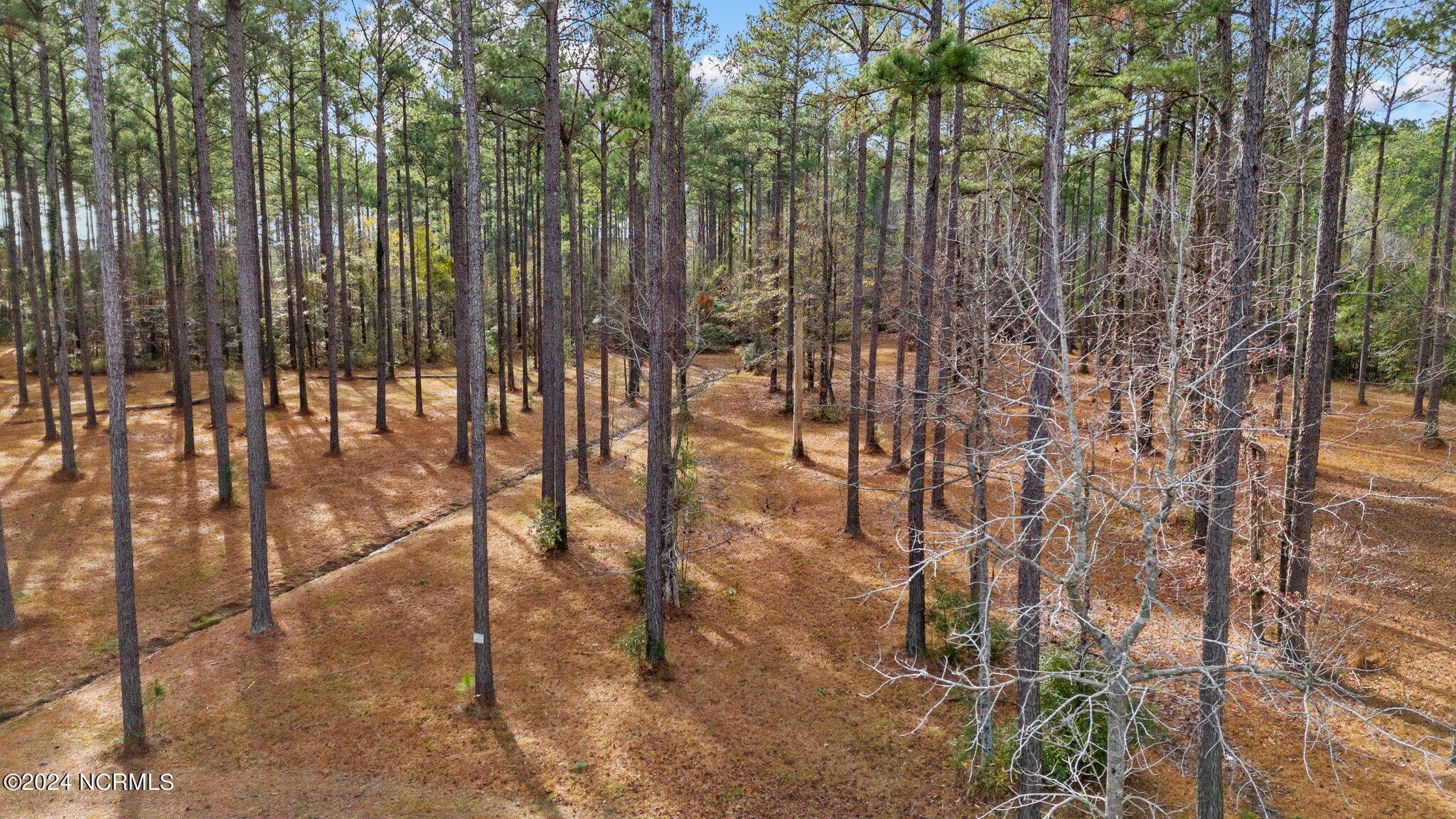 Exterior photo of 137 Lot 31 Ocracoke Drive, Oriental, NC 28571. MLS: 100587082