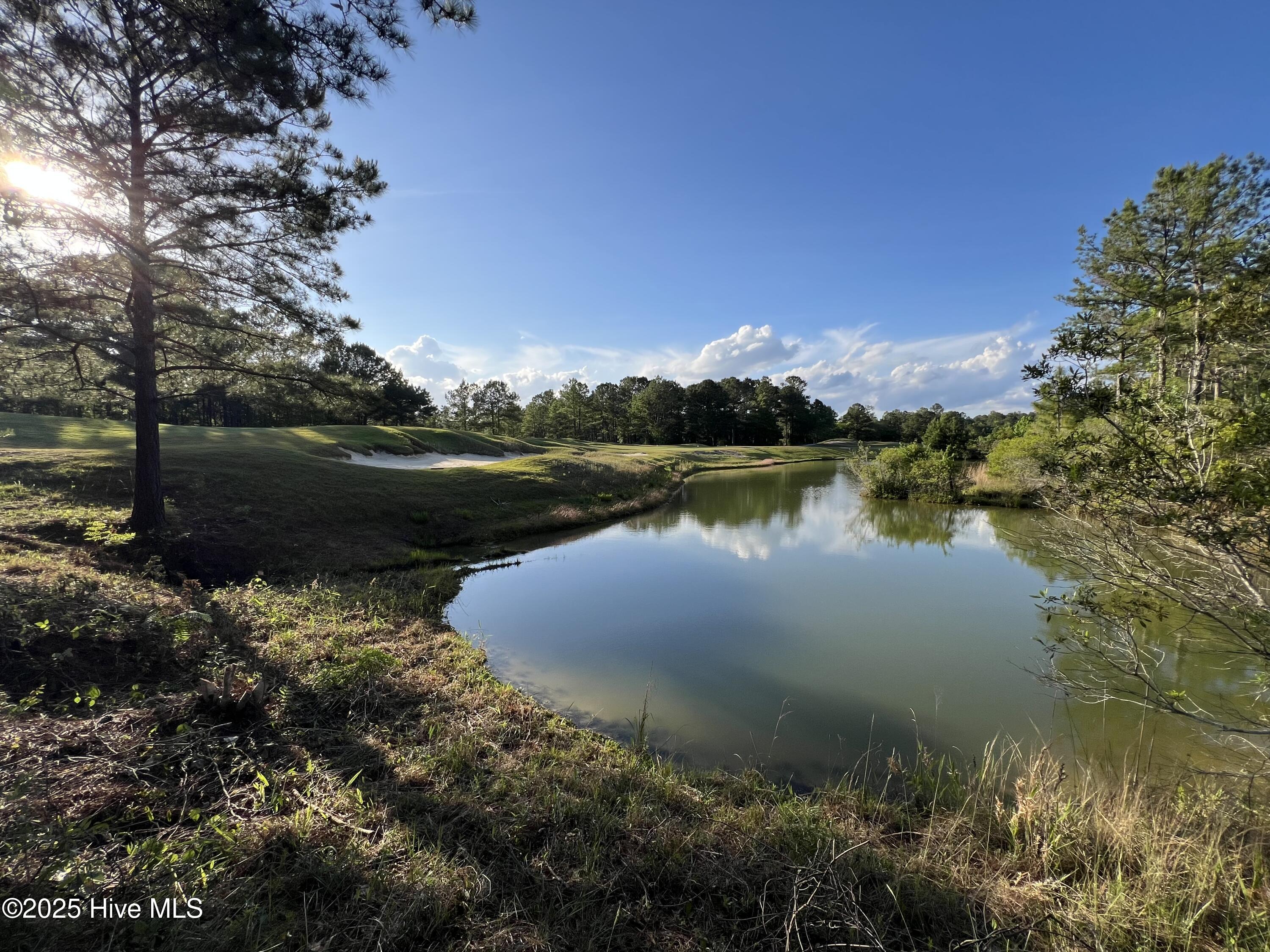 100509687 | Photo 28