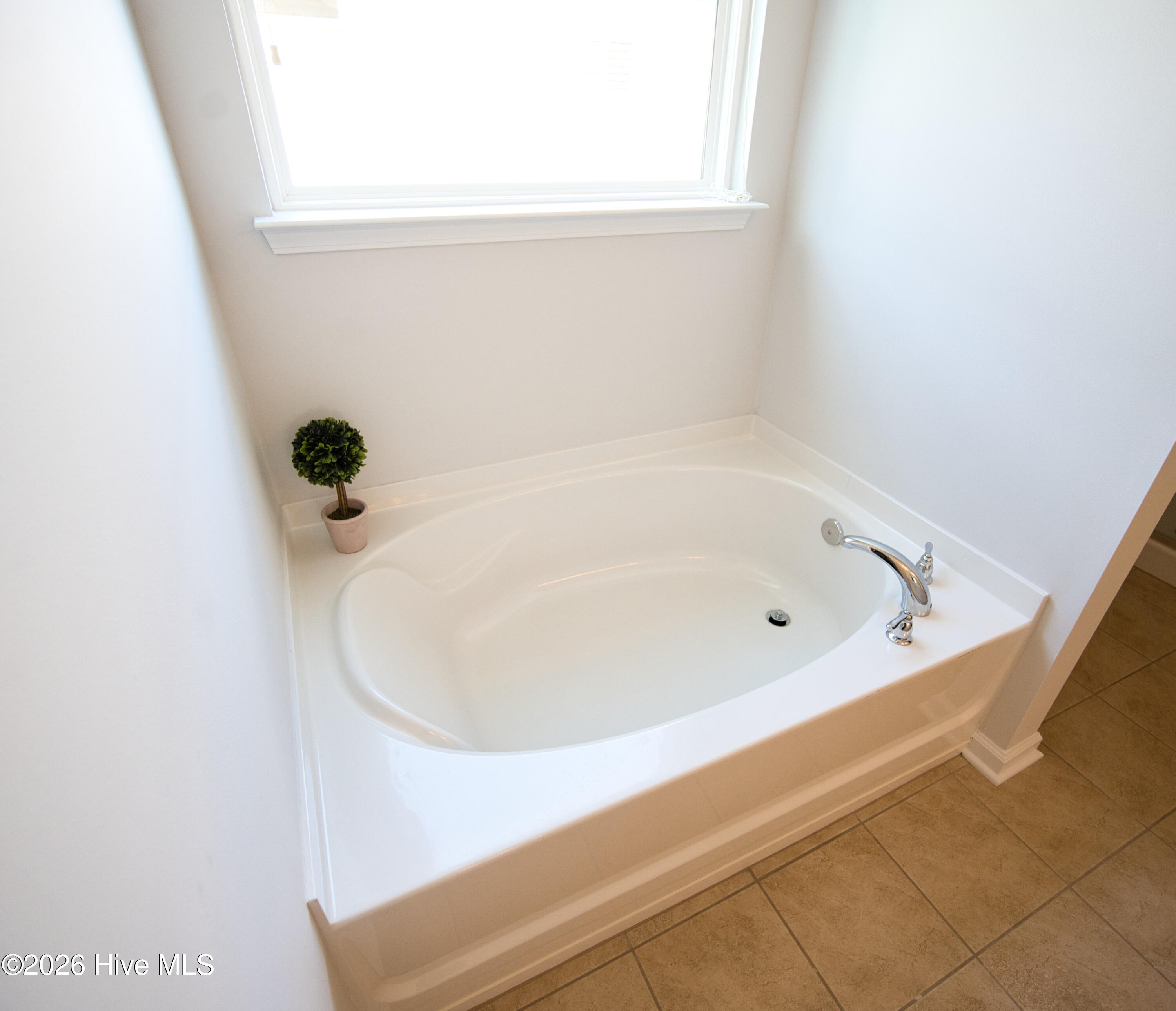 100569756 | Photo 33