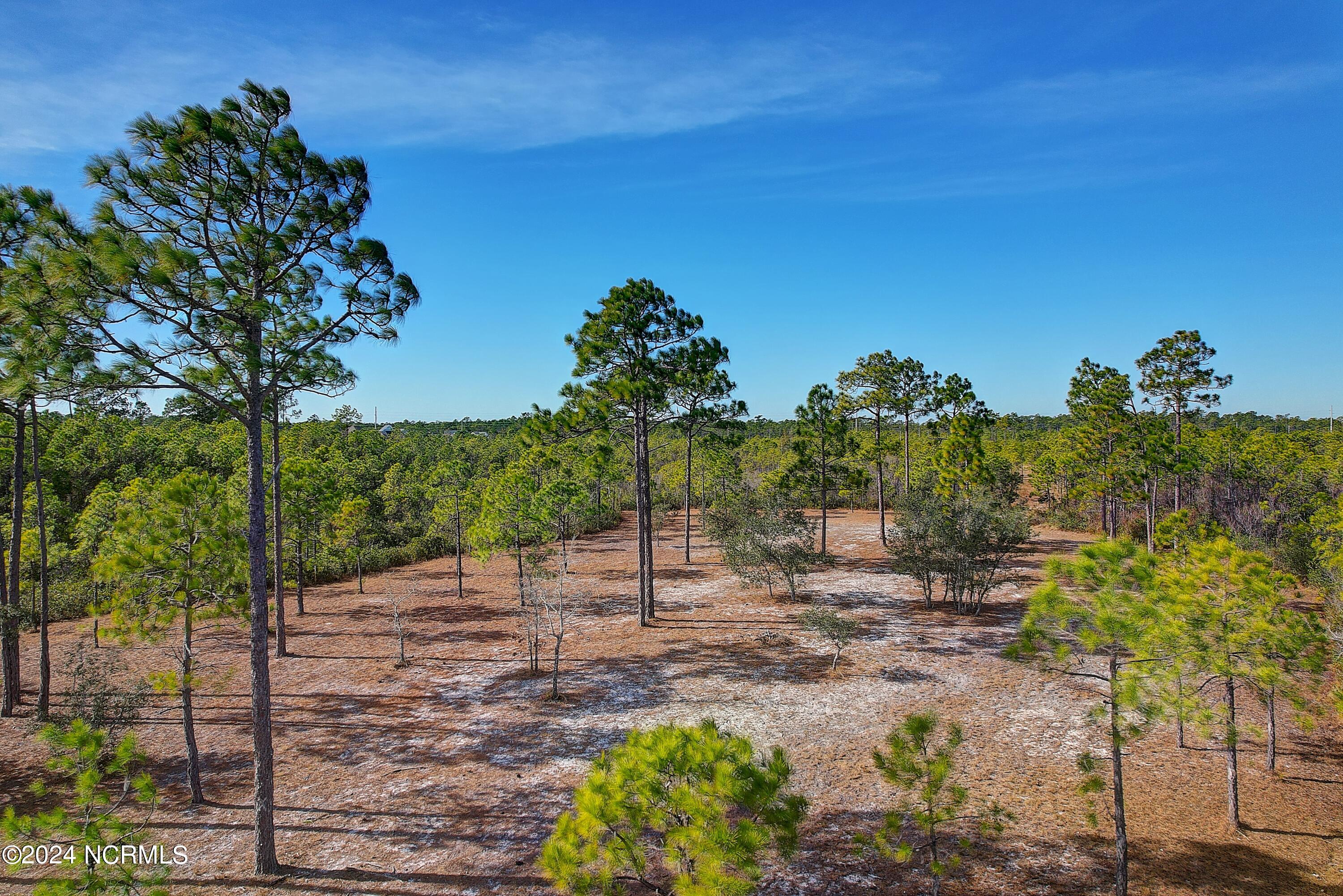 100559108 | Photo 14