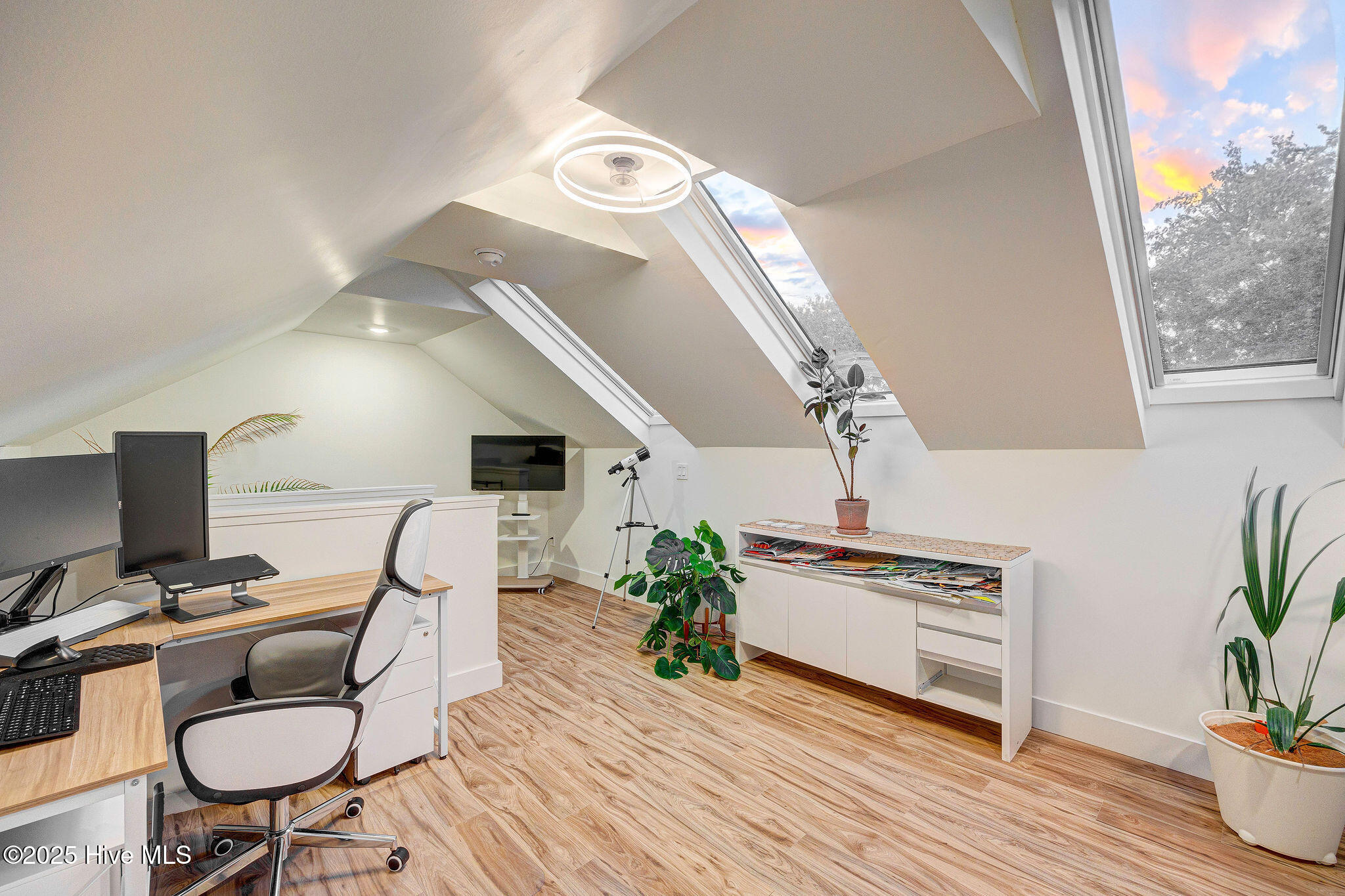 100534059 | Photo 31