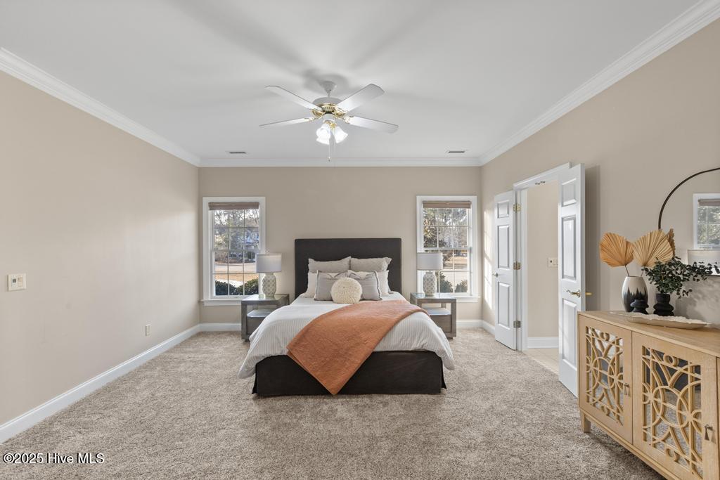 100516339 | Photo 30