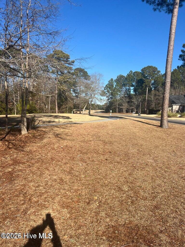 100592065 | Photo 7