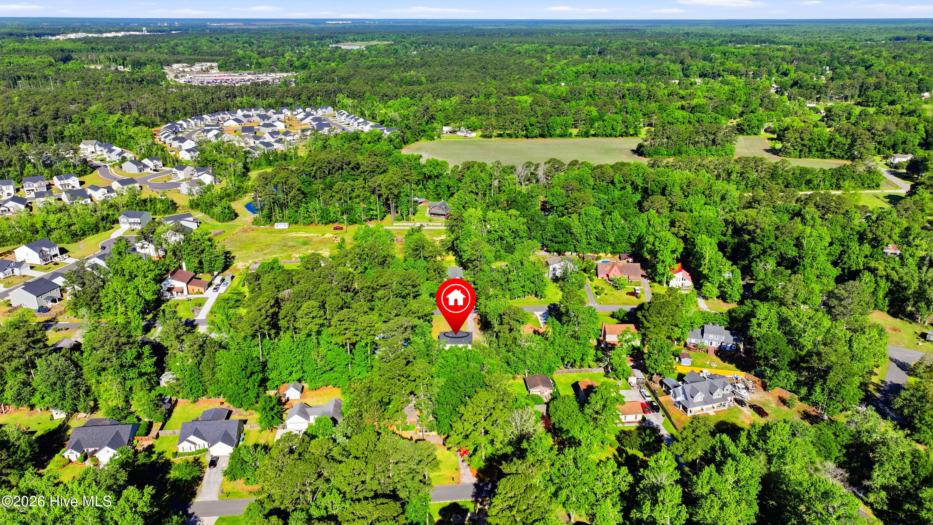 100570518 | Photo 37