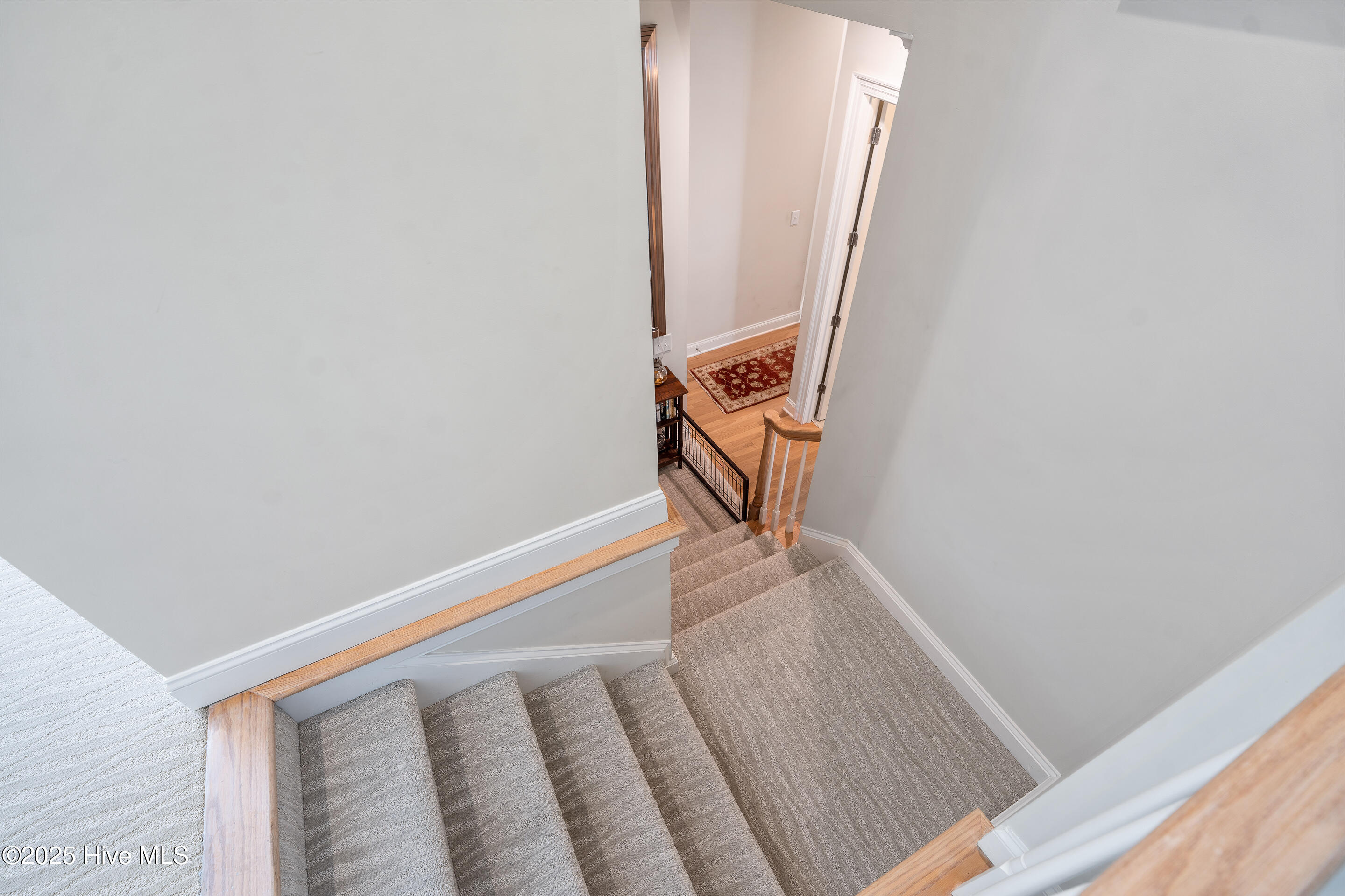 100529477 | Photo 33