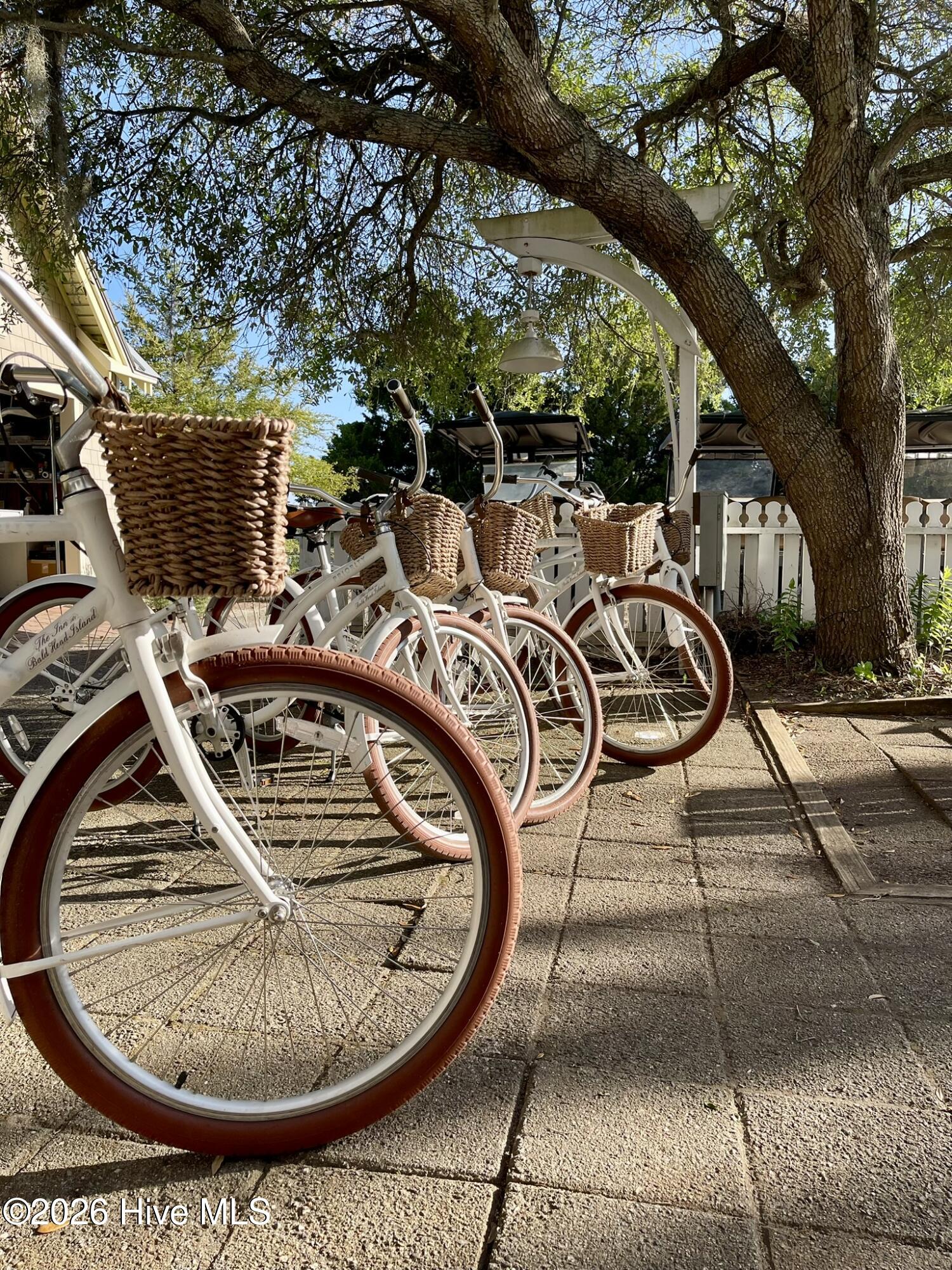 100559569 | Photo 47