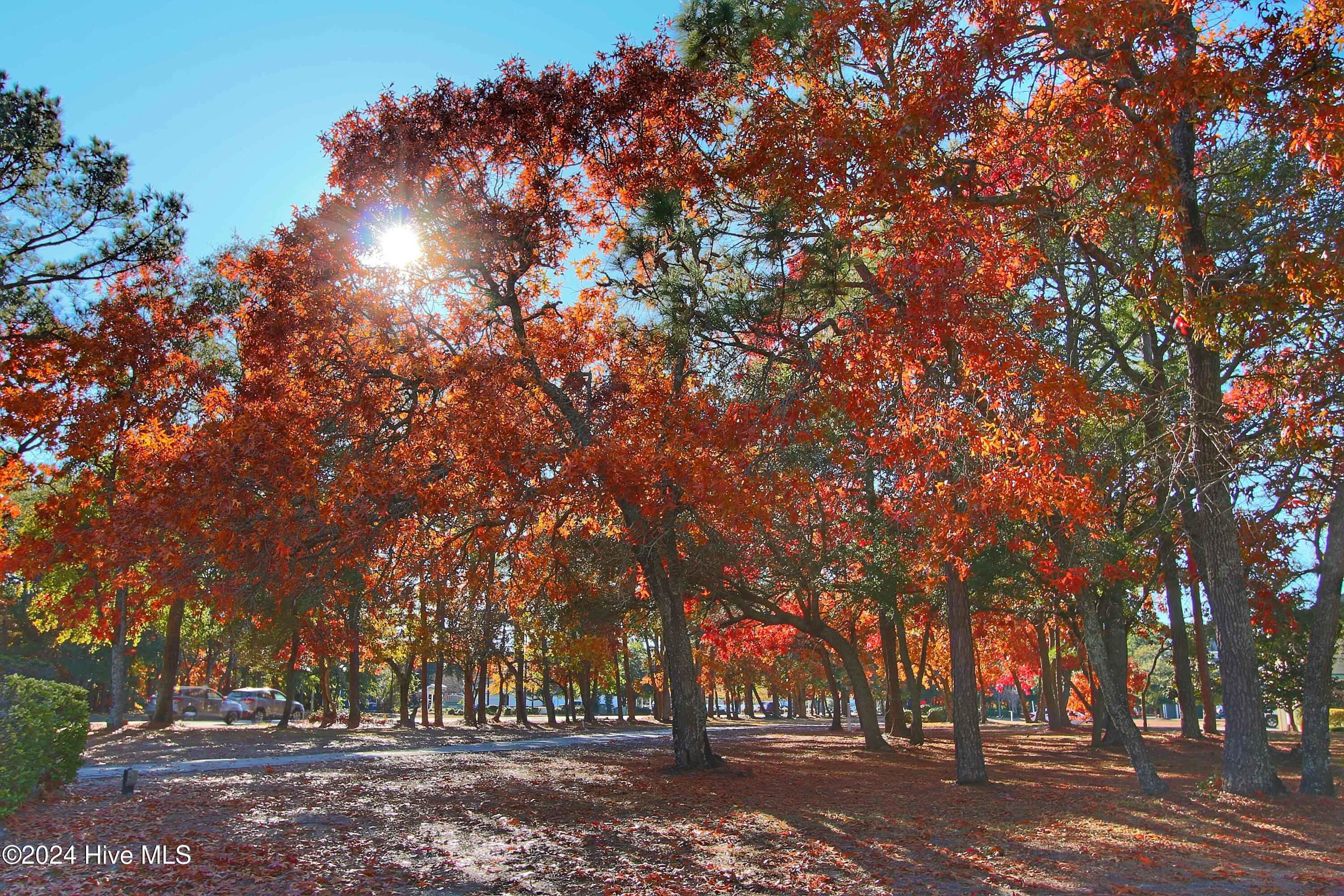 100478733 | Photo 44