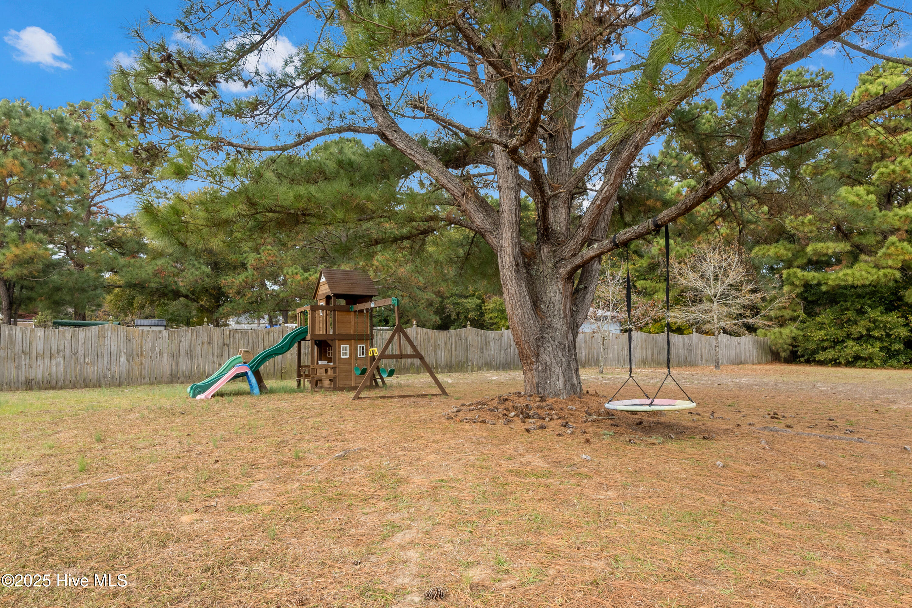 100546645 | Photo 51