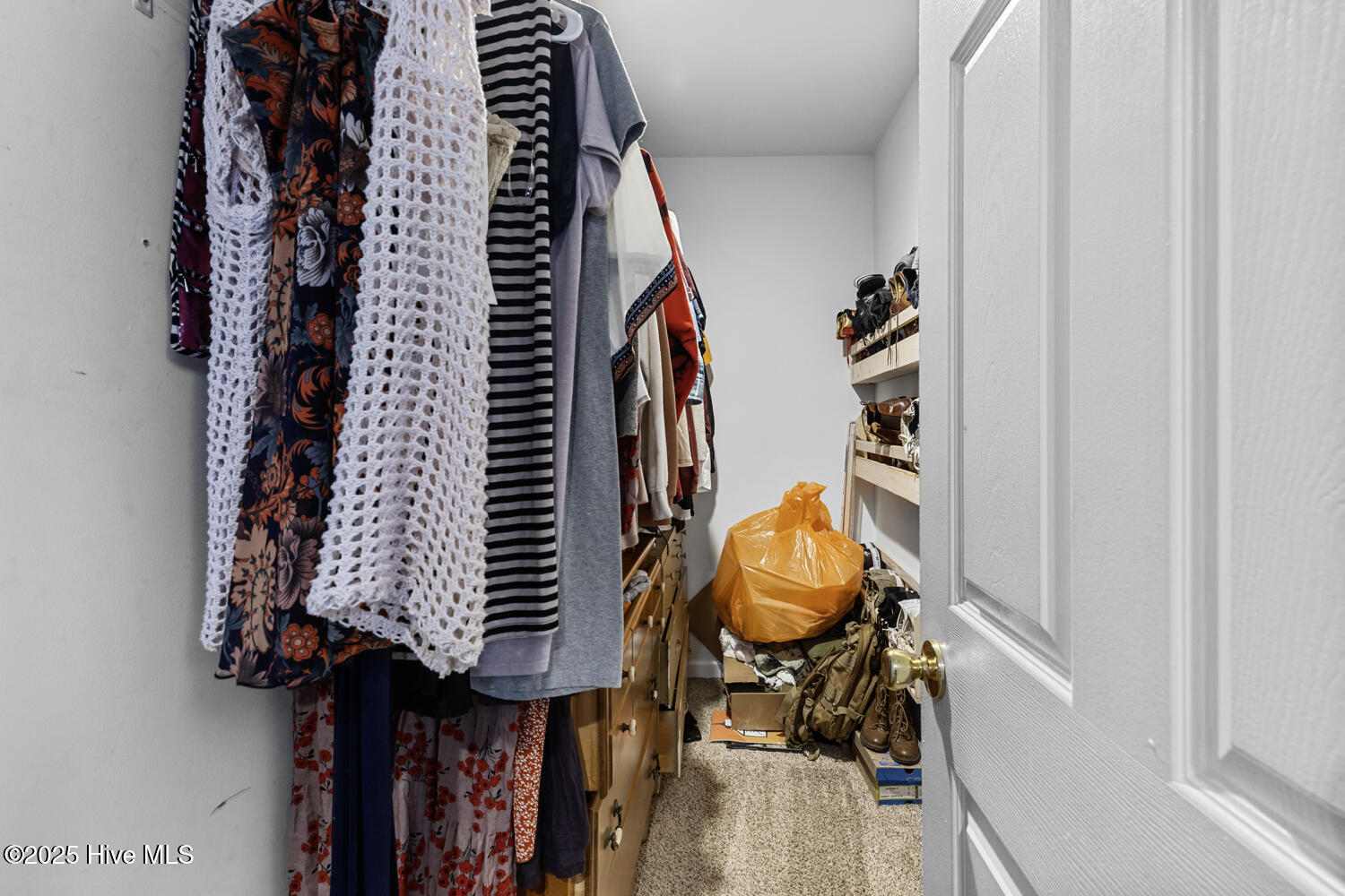 100512287 | Photo 24