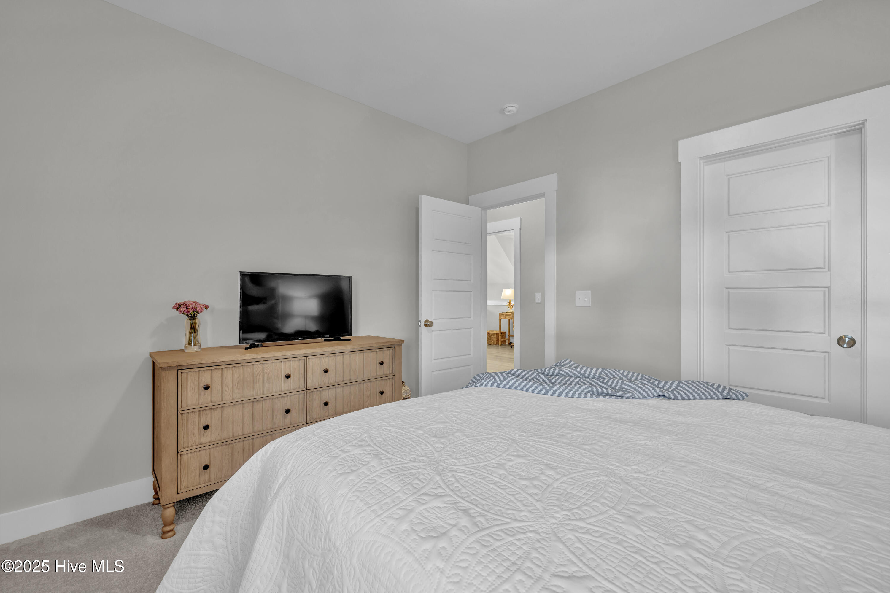 100541296 | Photo 25