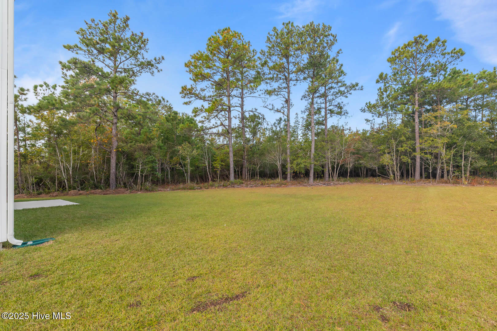 100538929 | Photo 55