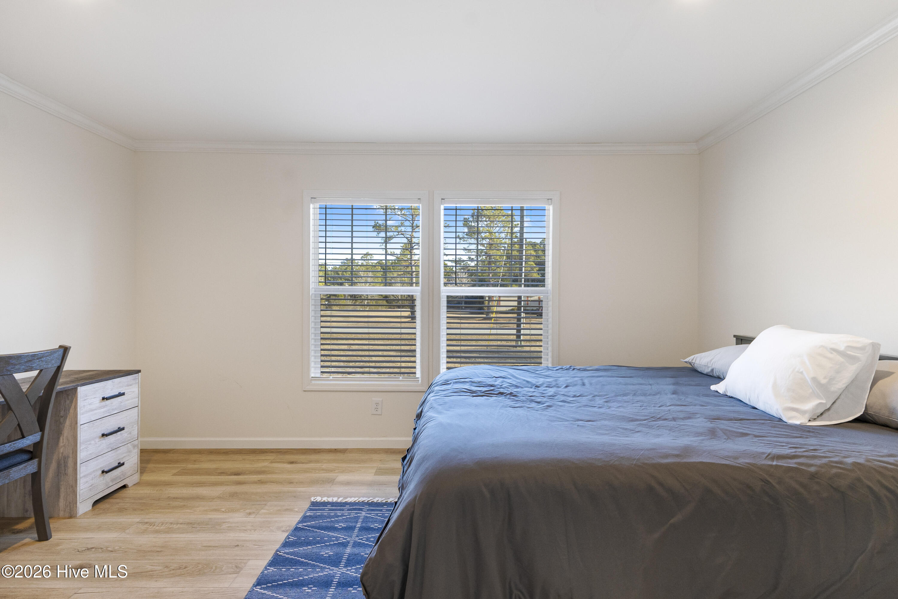 100552781 | Photo 15