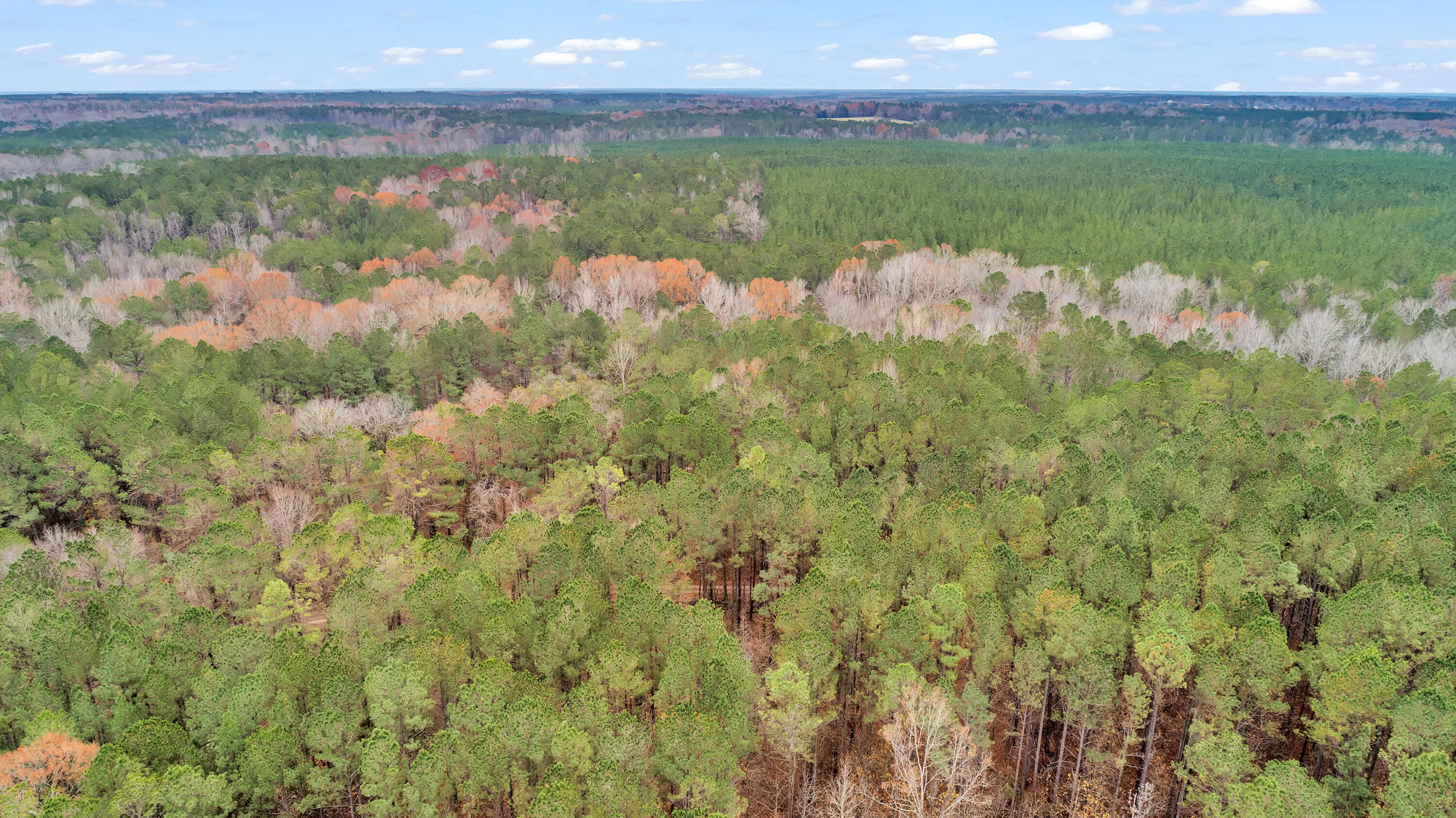 Saggus Rd land 121-007A, 200ft View, Dro
