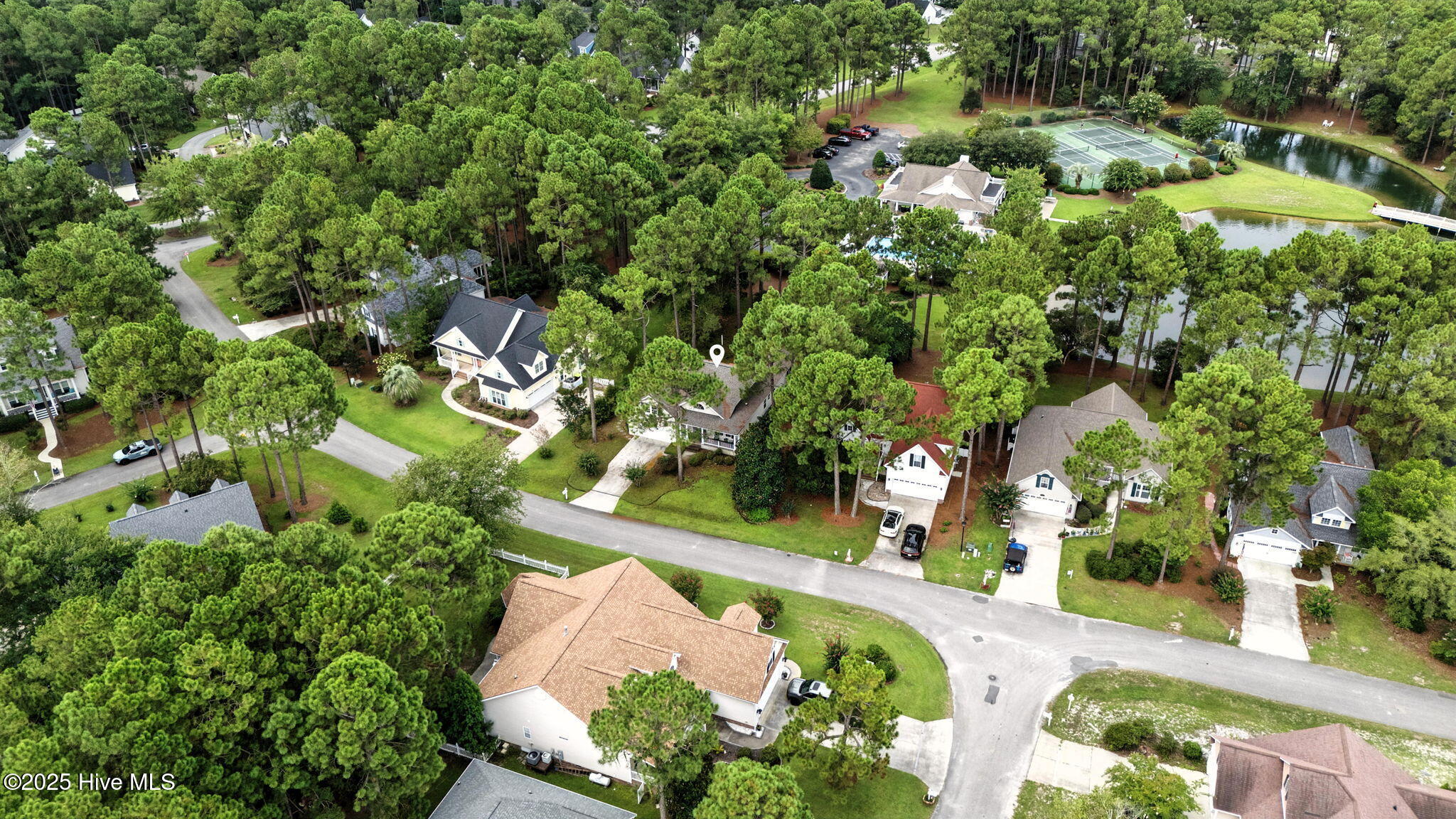 100523616 | Photo 41