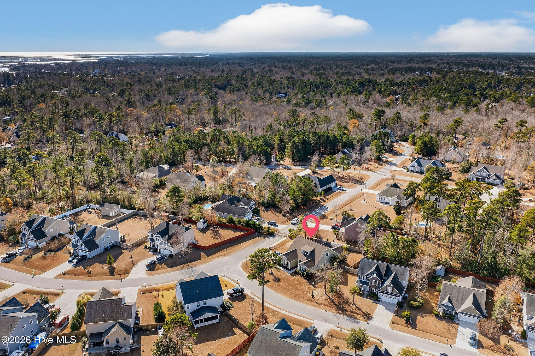 100547189 | Photo 64