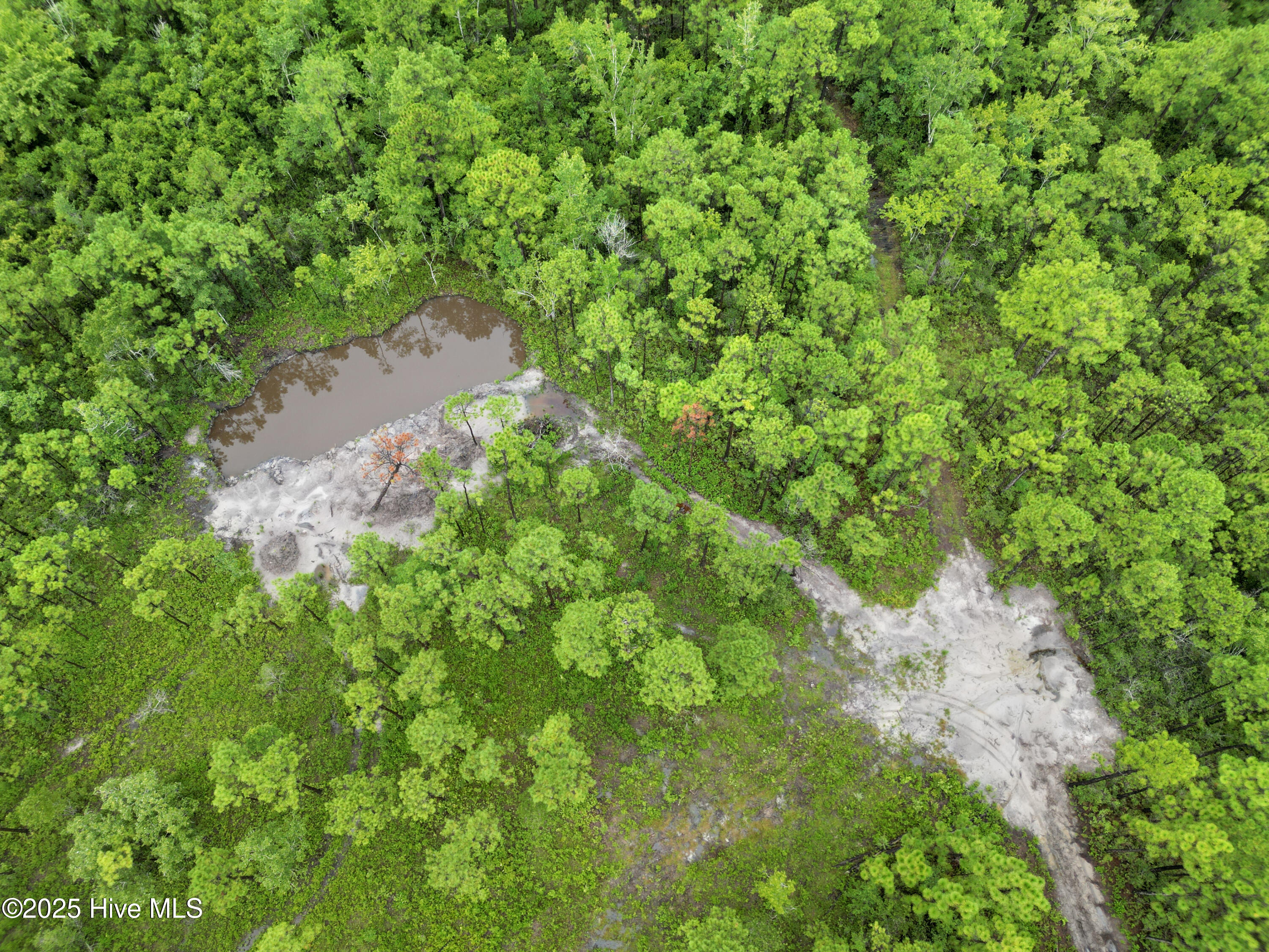 100525966 | Photo 24