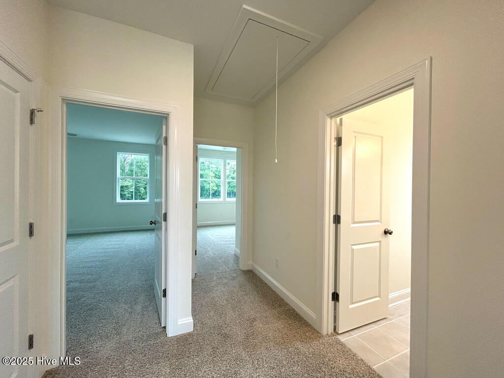 100510168 | Photo 54