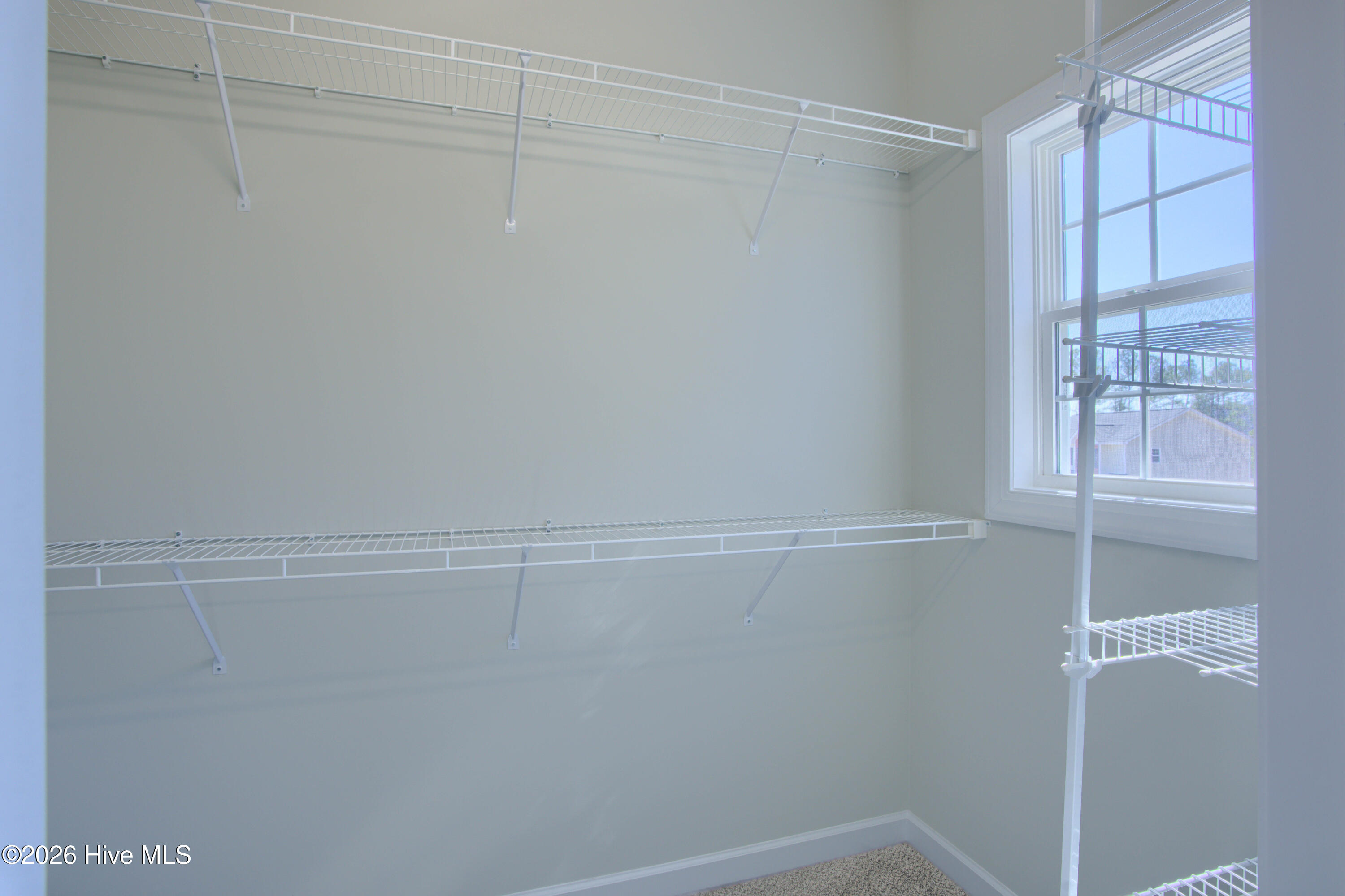 100526939 | Photo 27