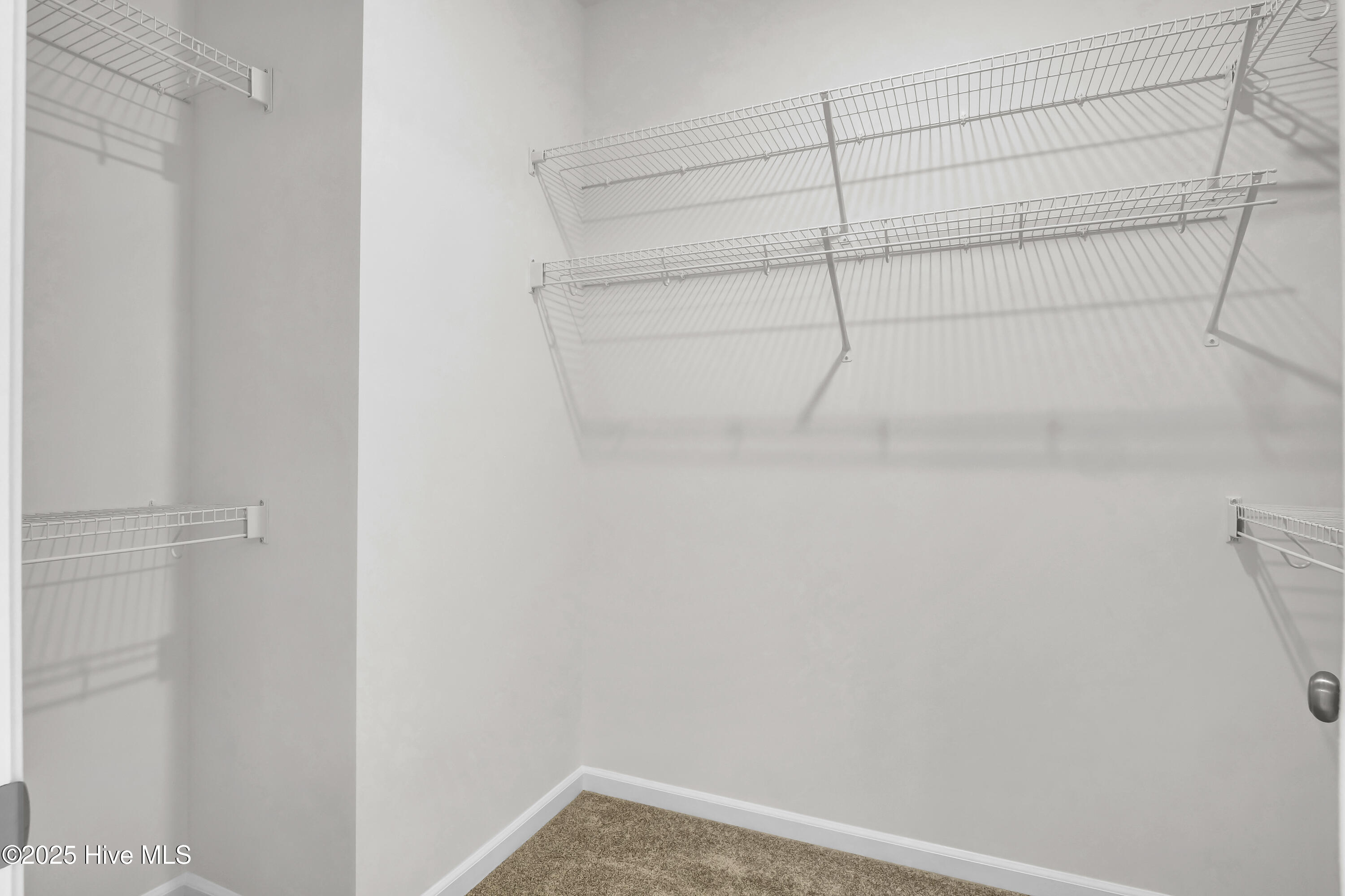 100538172 | Photo 19