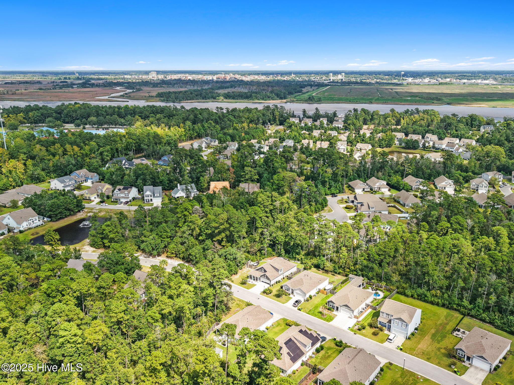 100531628 | Photo 52