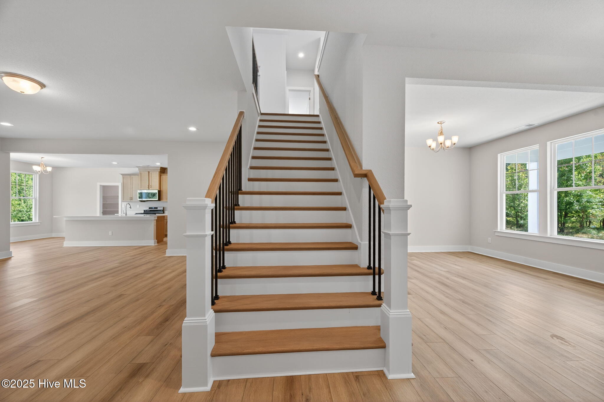 7-web-or-mls-101-patience-ln