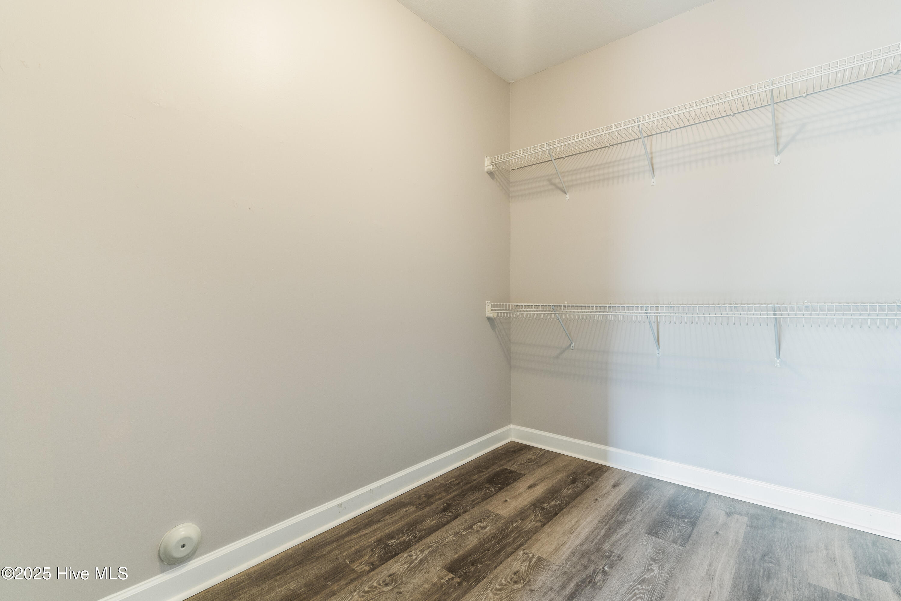 100564335 | Photo 33