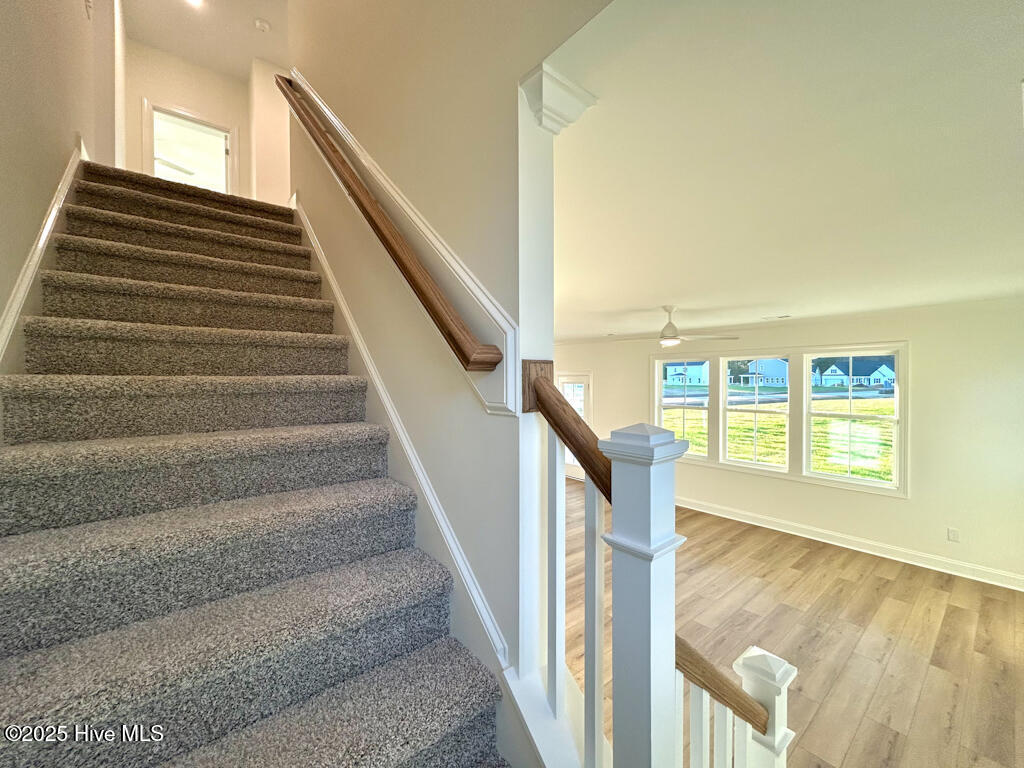 100510089 | Photo 52